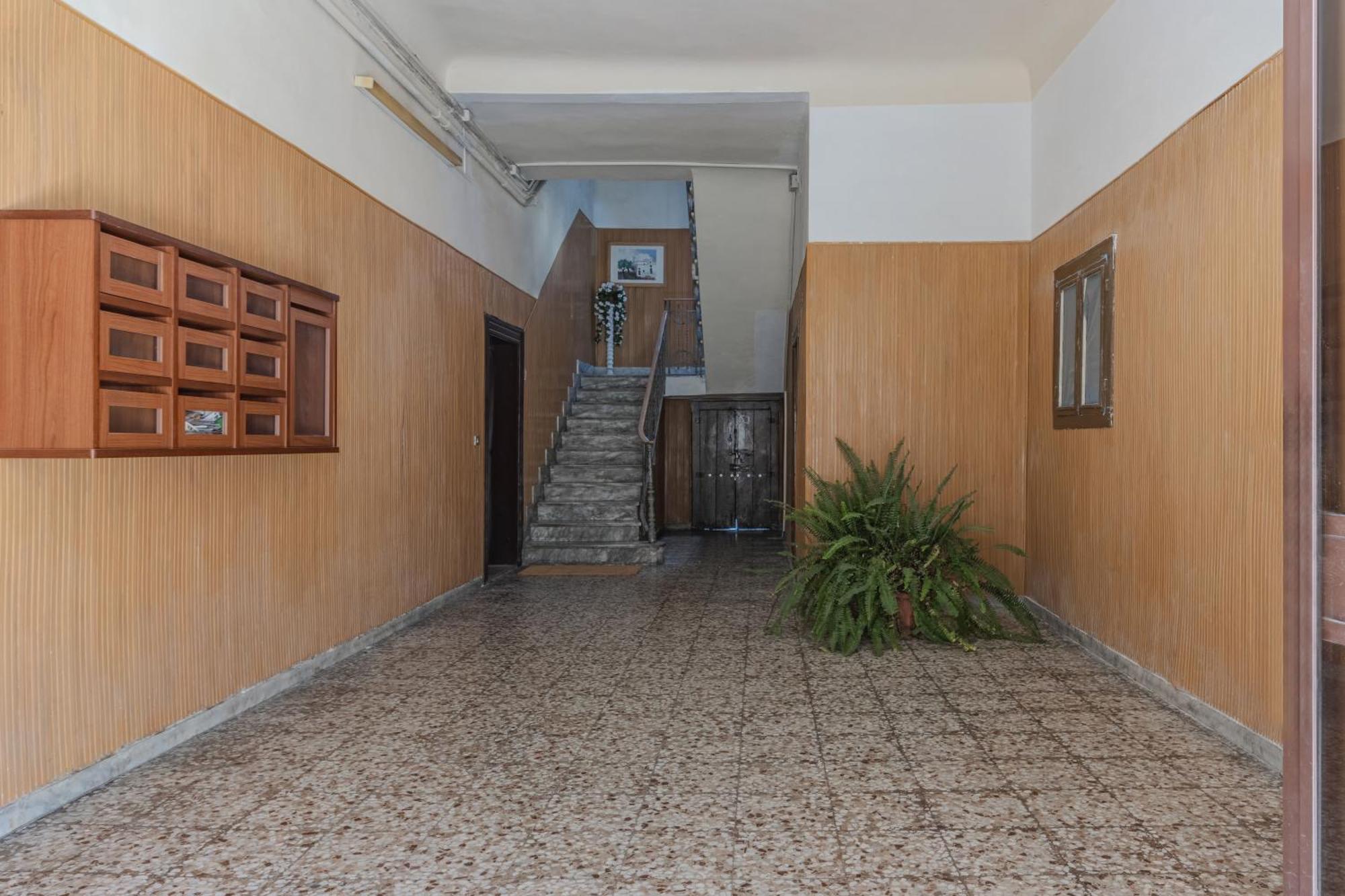 Eritrean Terrace