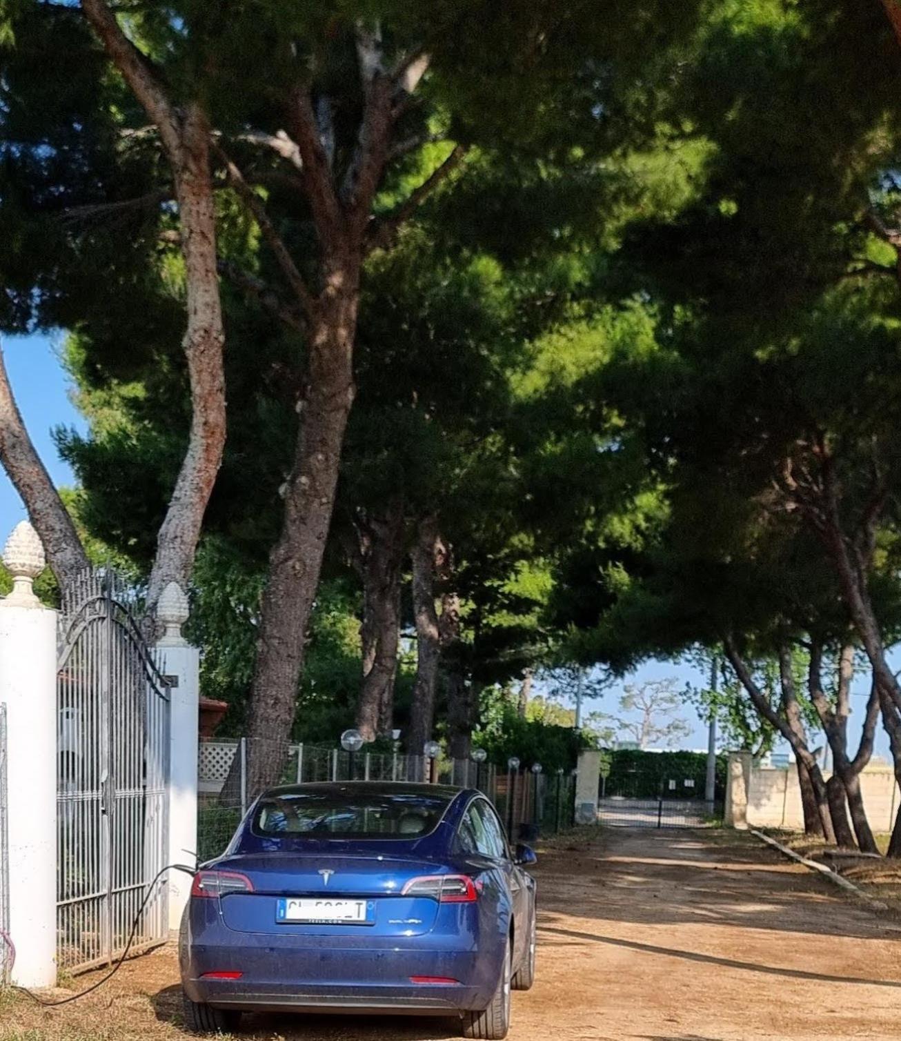 Costanza * Bari