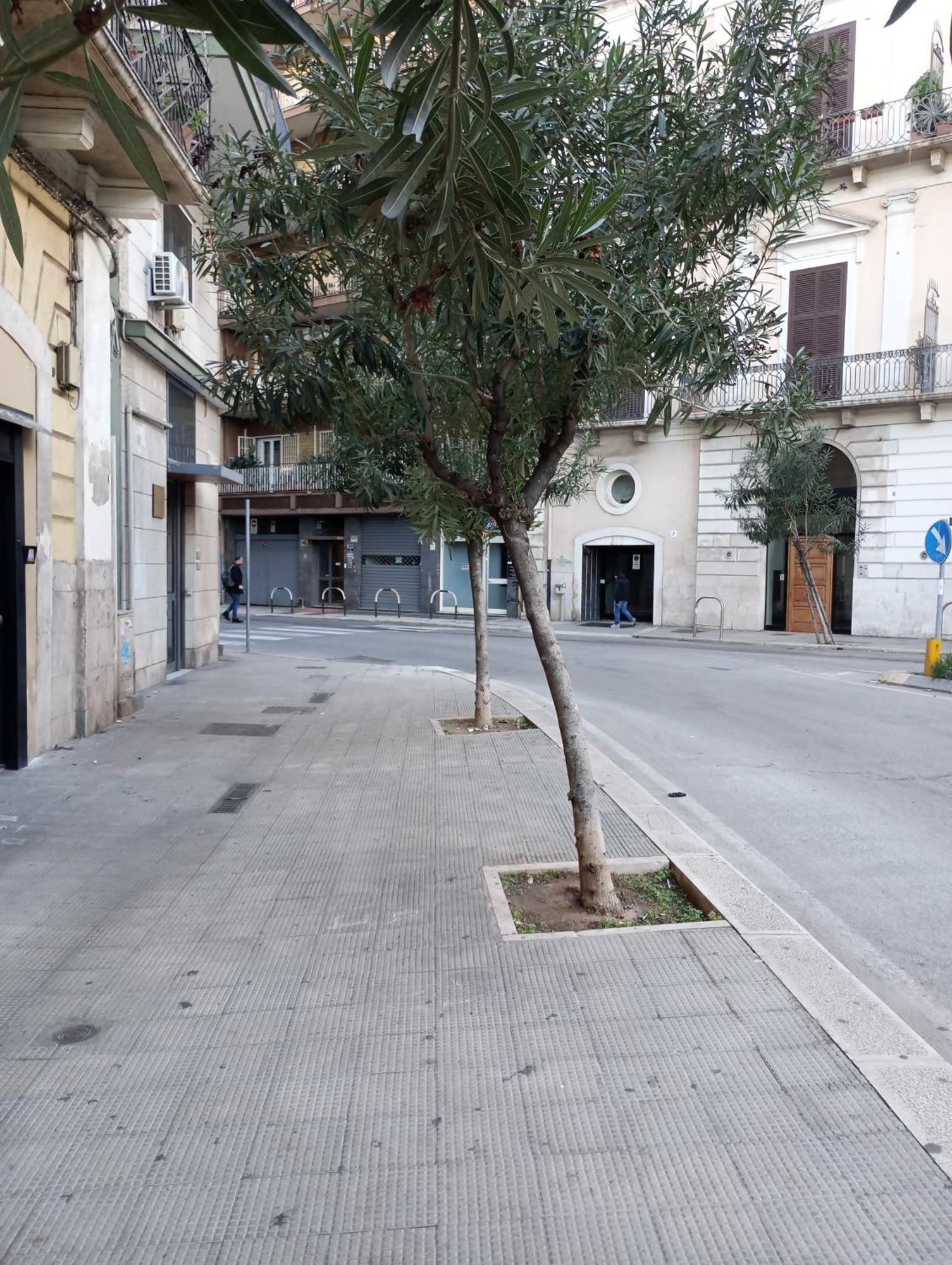 Casa Piacquadio Pensjonat Bari