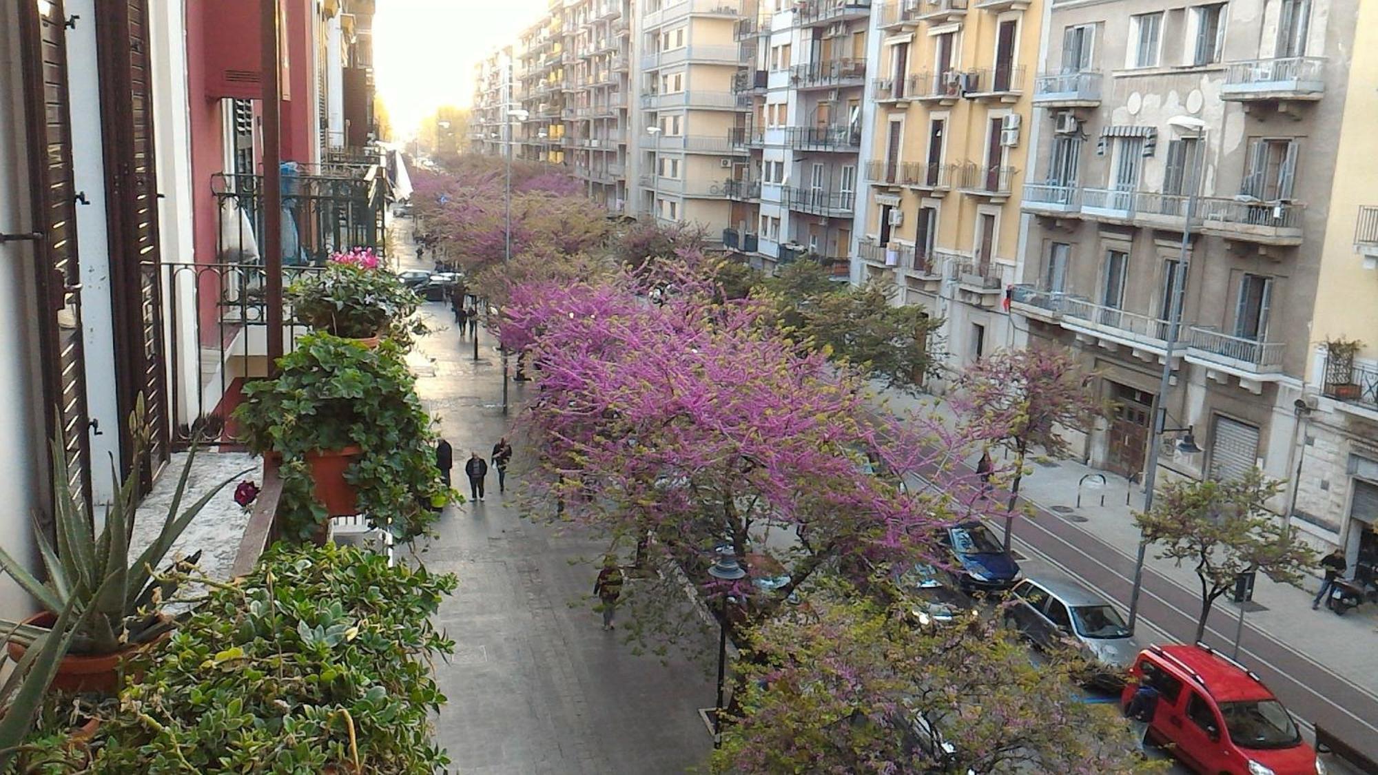 Apartment Liberta *