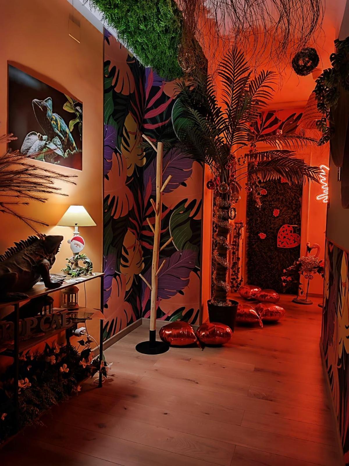 Apartment Maison Tropical - Luxury In *