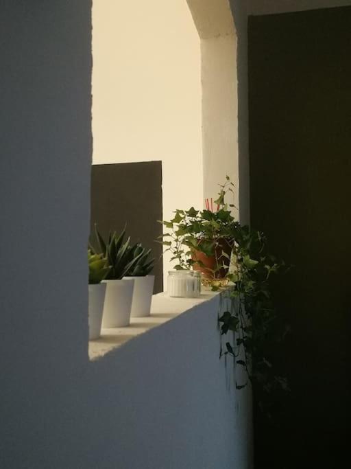 Appartement Bari *