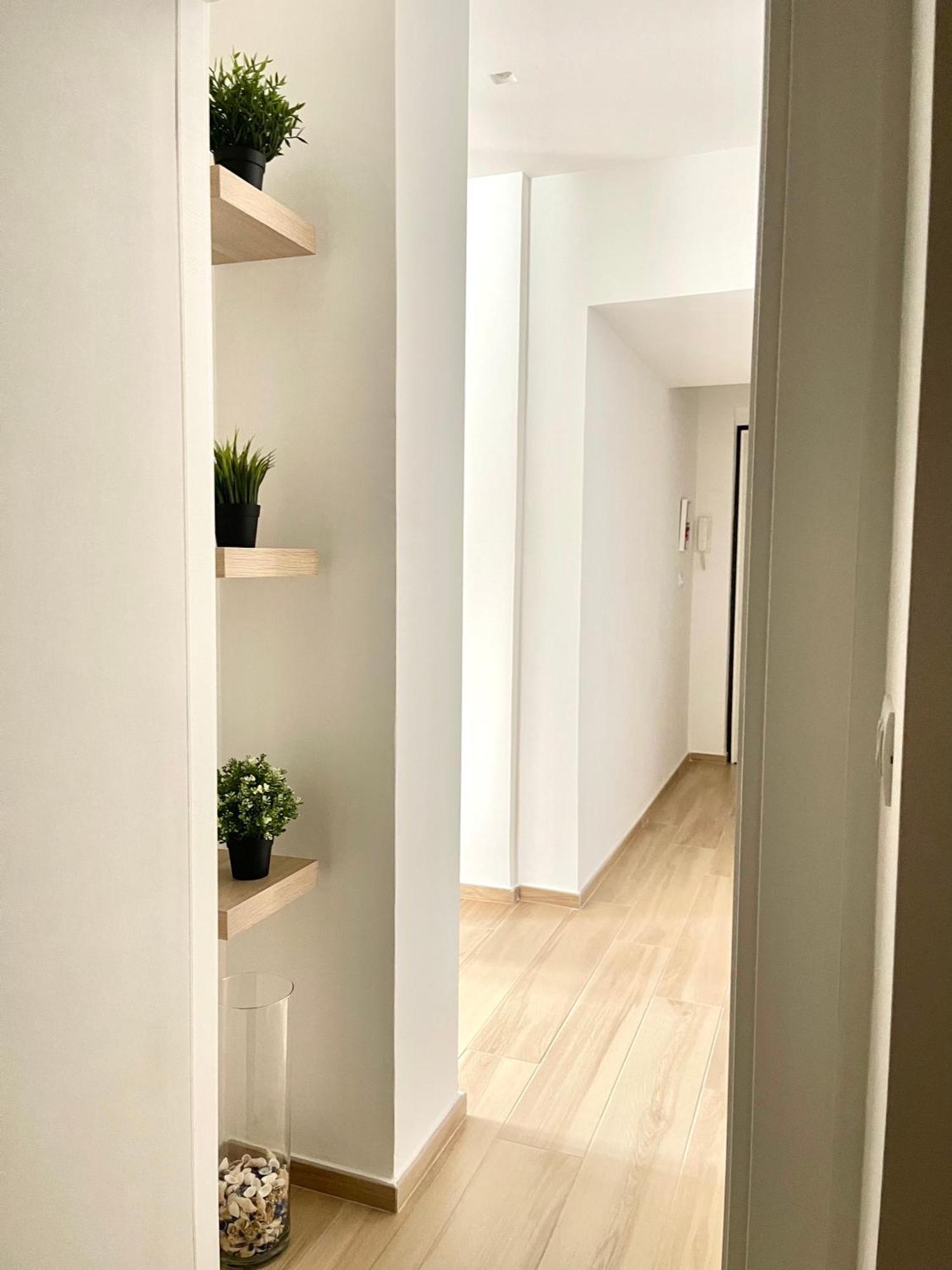 Apartment Netti