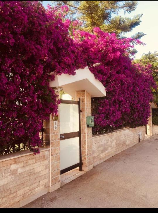 Tulipano Rosso Apartment