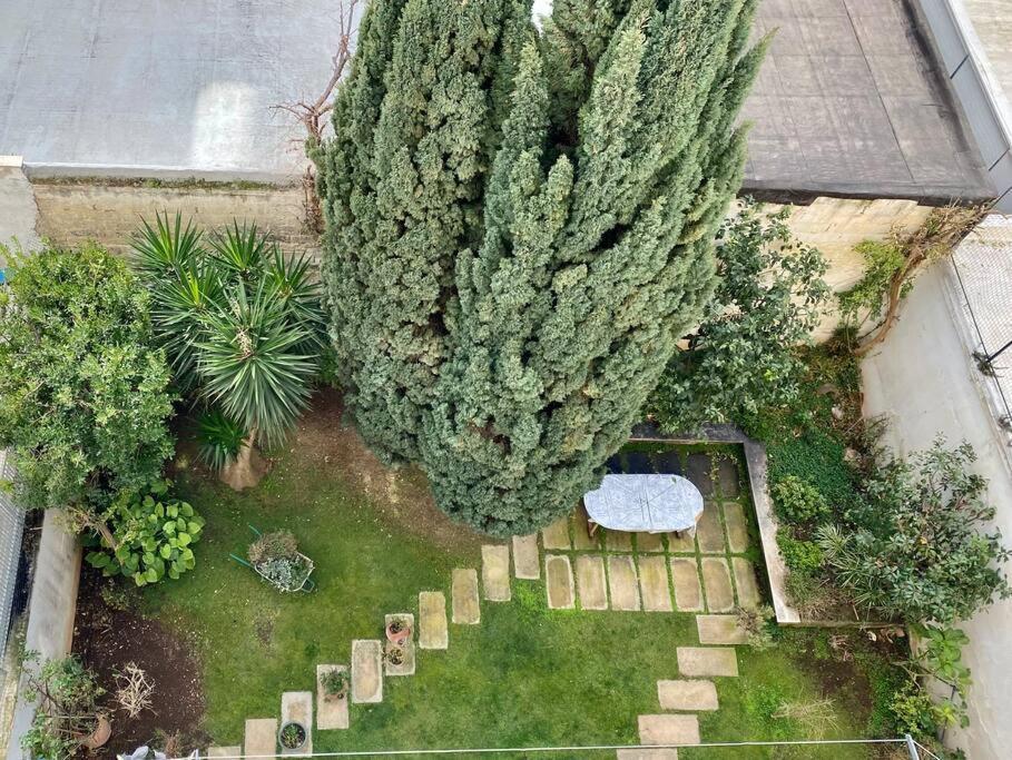 Lux Domus Bari