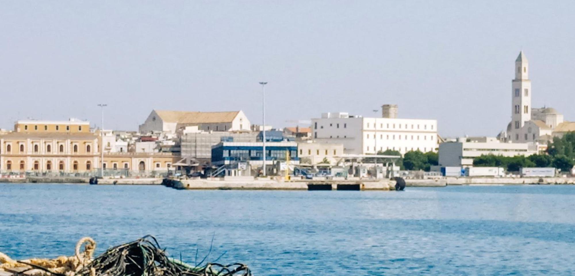 The Nest Of Envy Bari