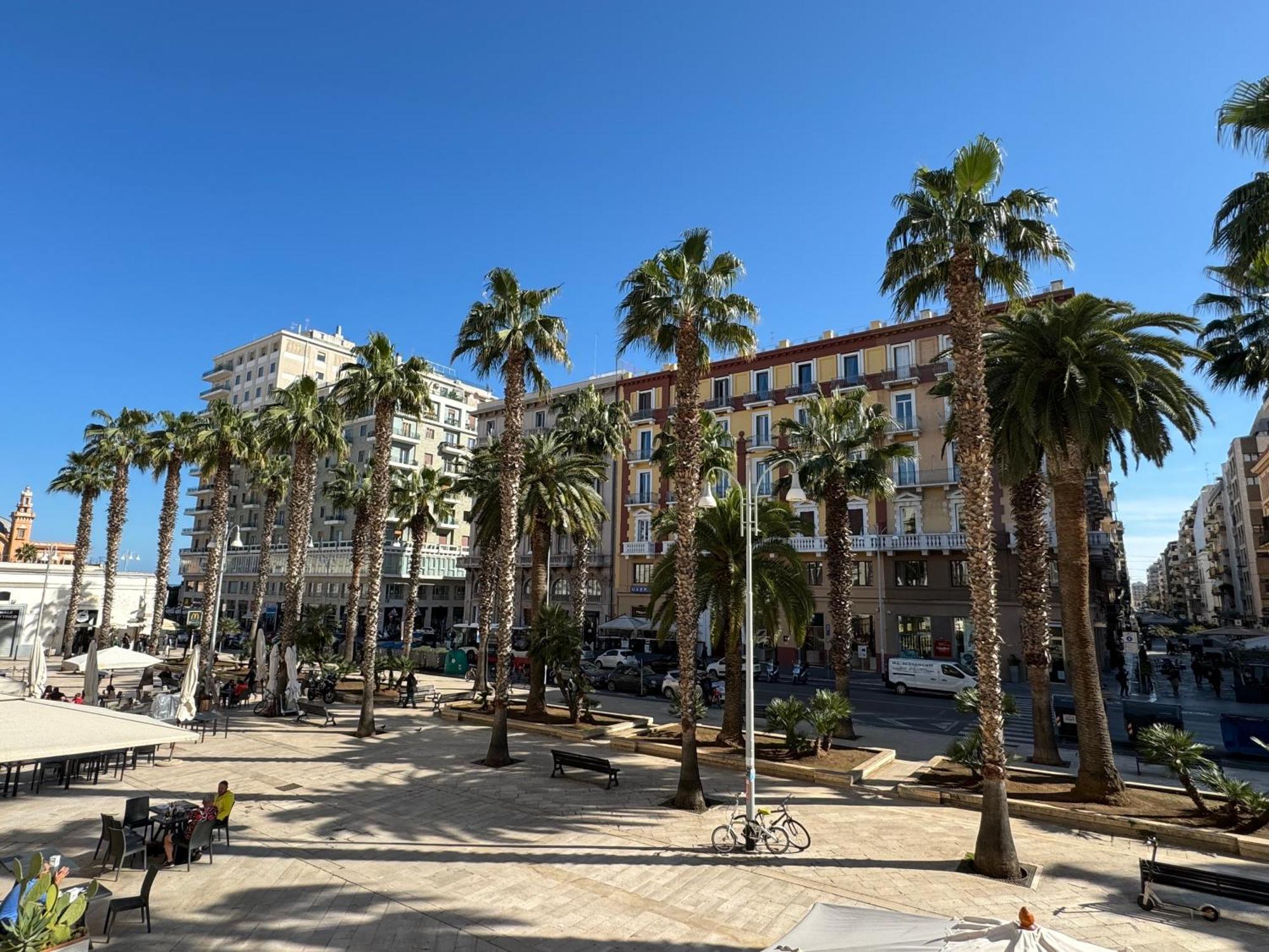 Palm House Apartman