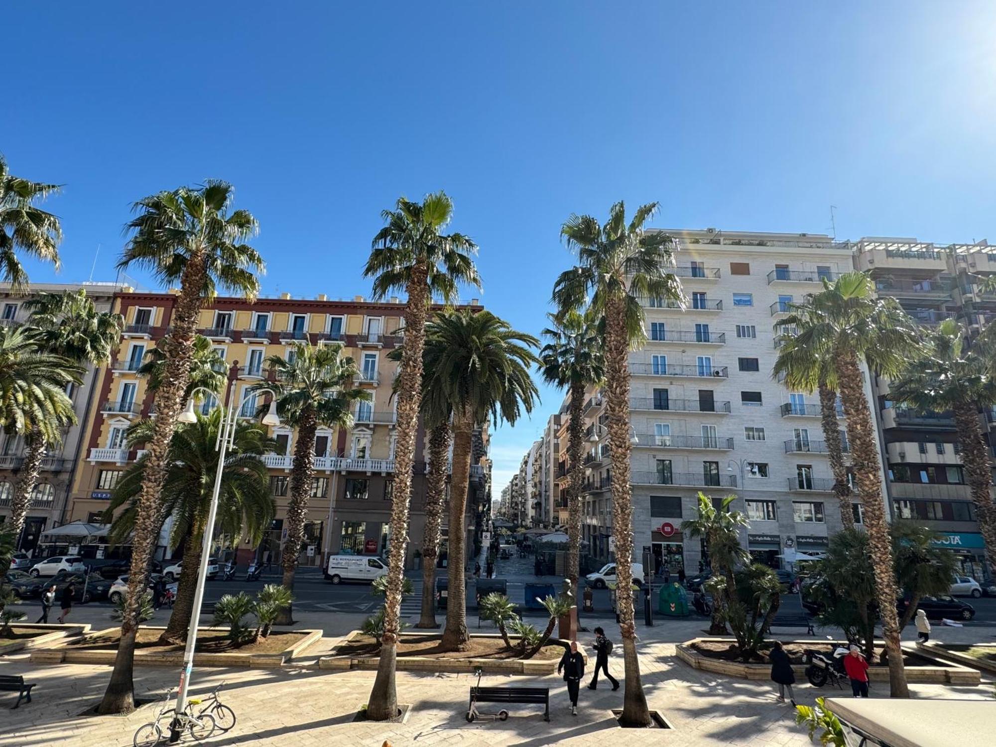 Palm House Apartman *