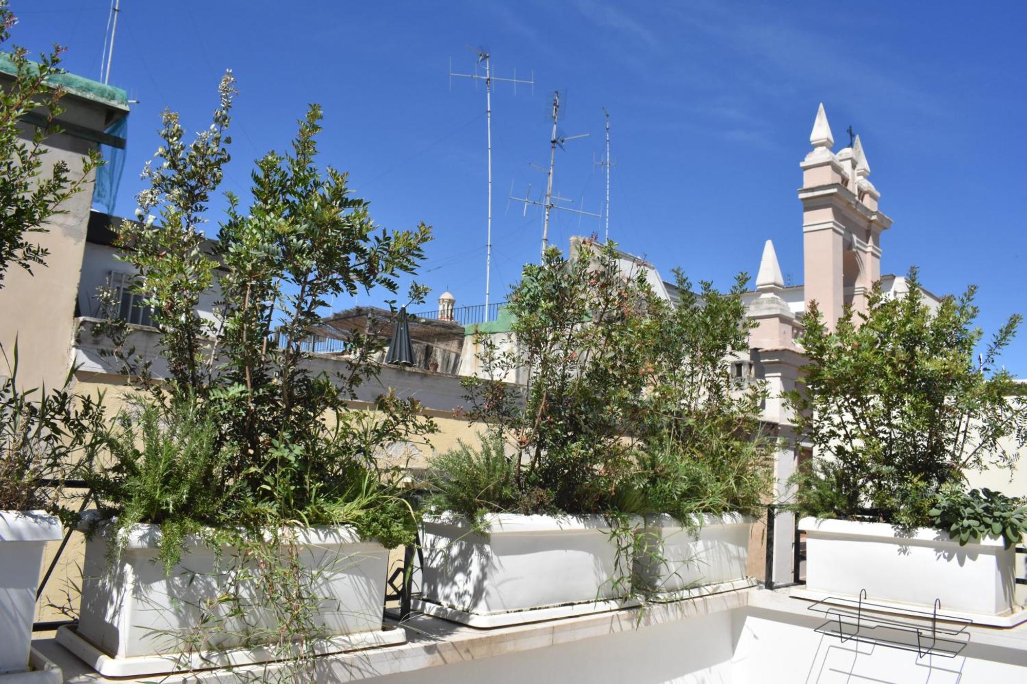 Saint Barth - Charming In Gasthof *
