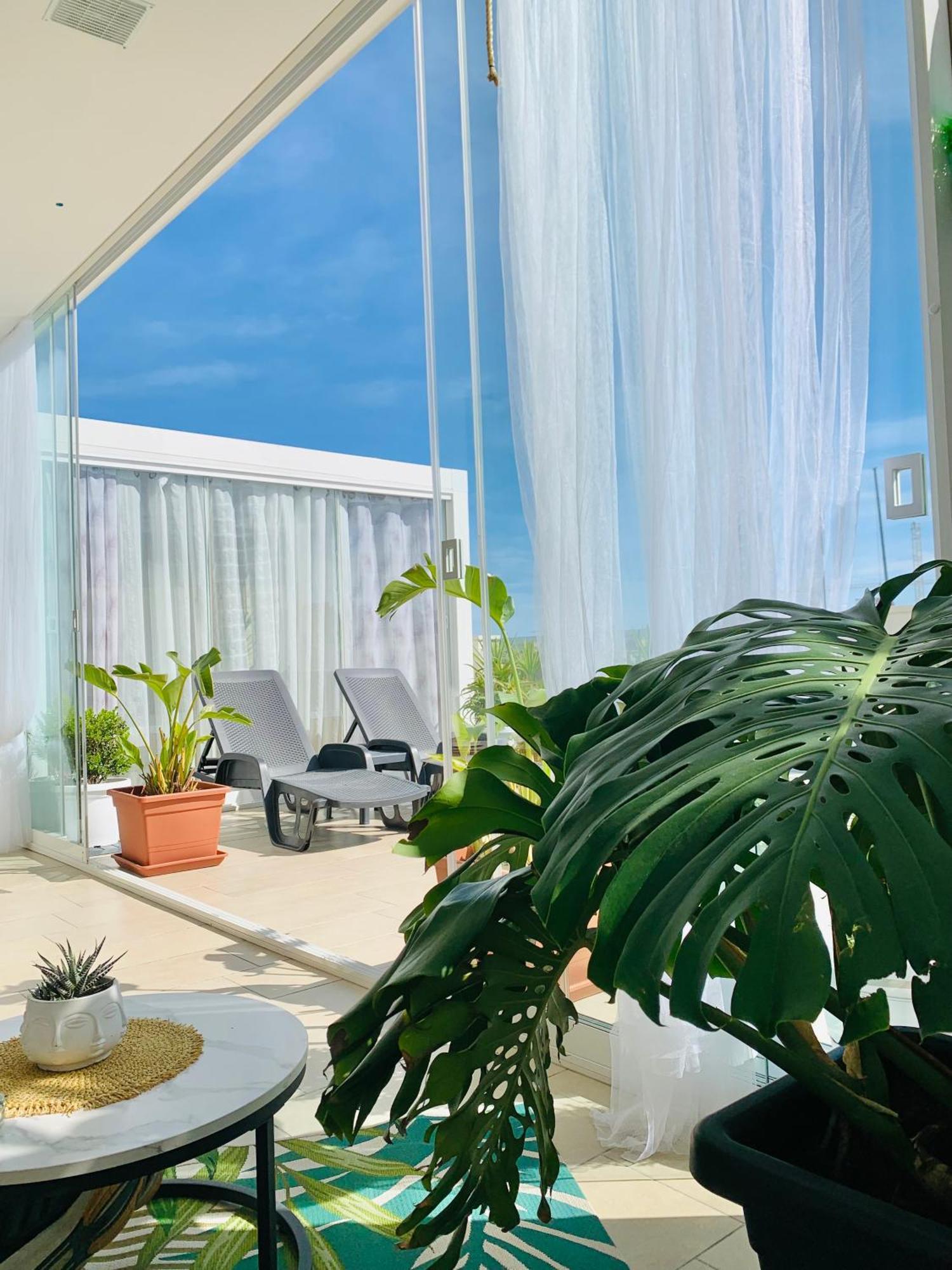 Apartman Dalu Terrace *