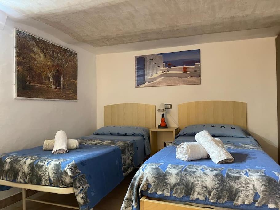 Colibri /center Apartment