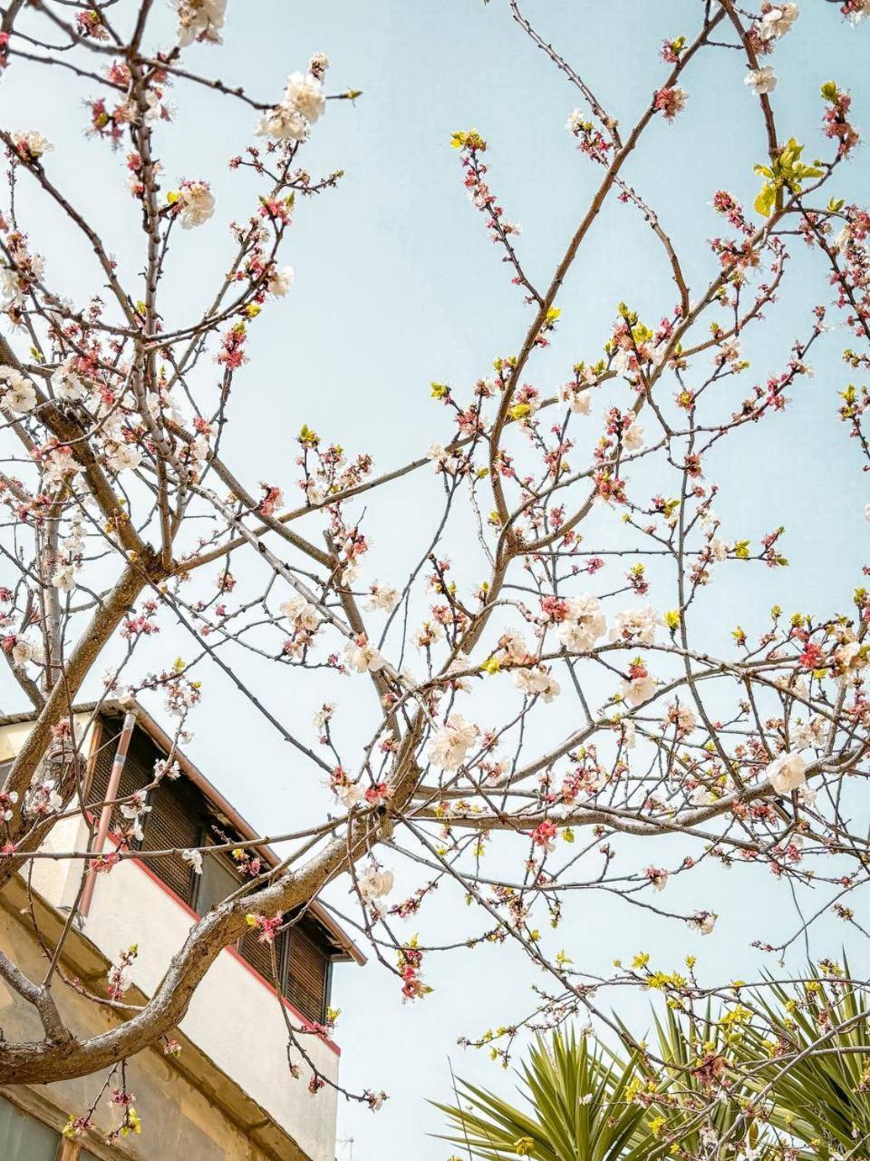 Magnolia Con Giardino Holiday home Bari