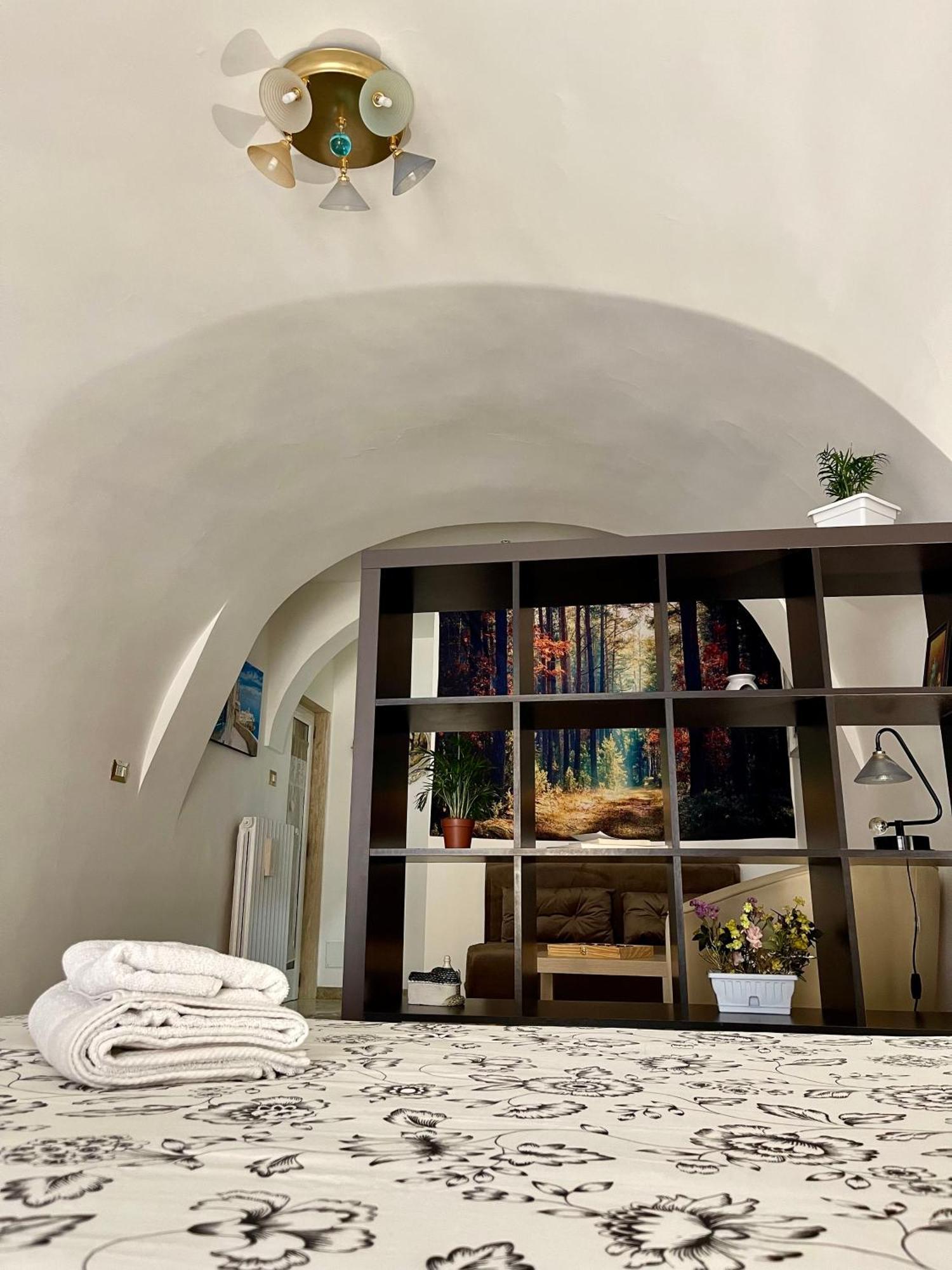 Apartment Oasis