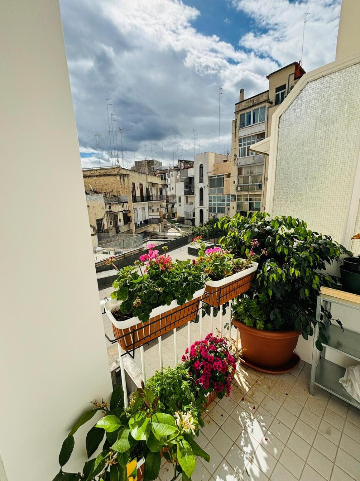 Apartament 4 Seasons Signorile