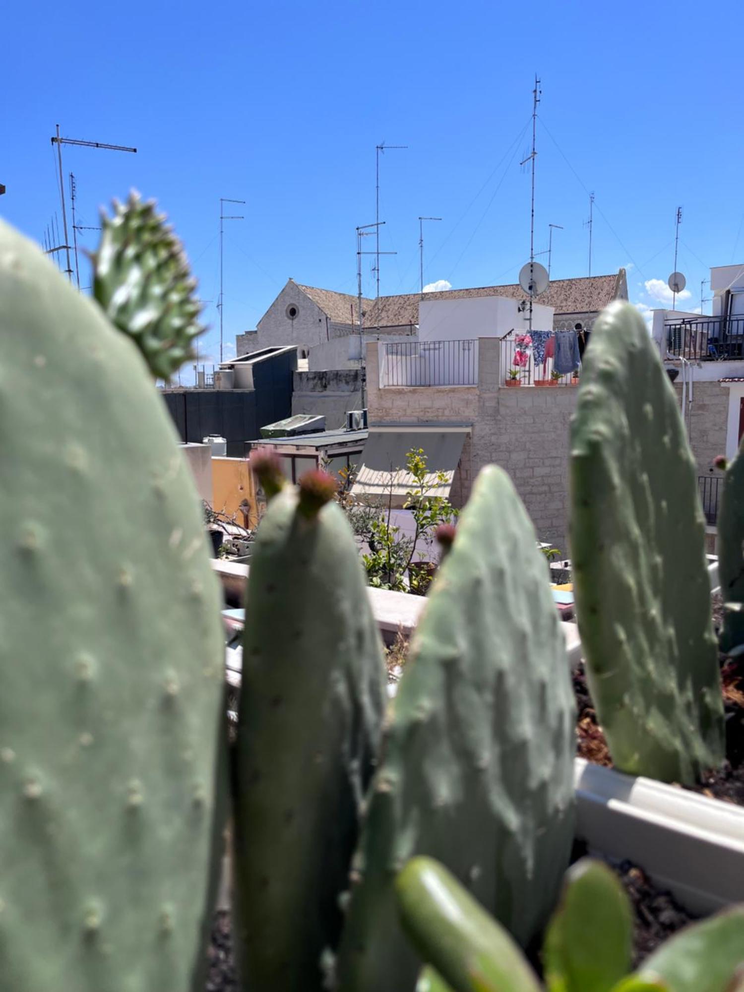 Casa Franca - Terracielo A Vecchia Dom wakacyjny Bari