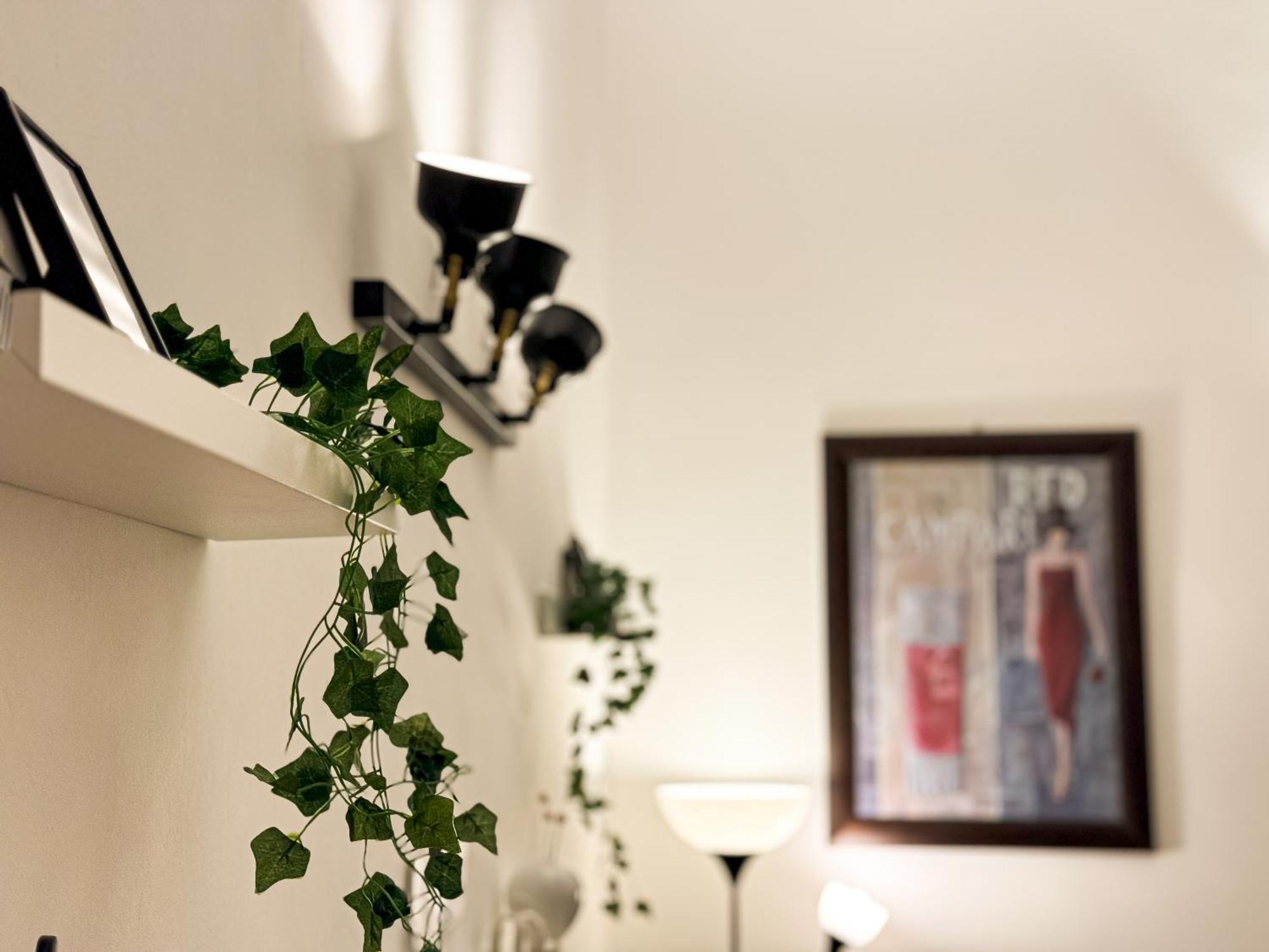 Trip In Loft