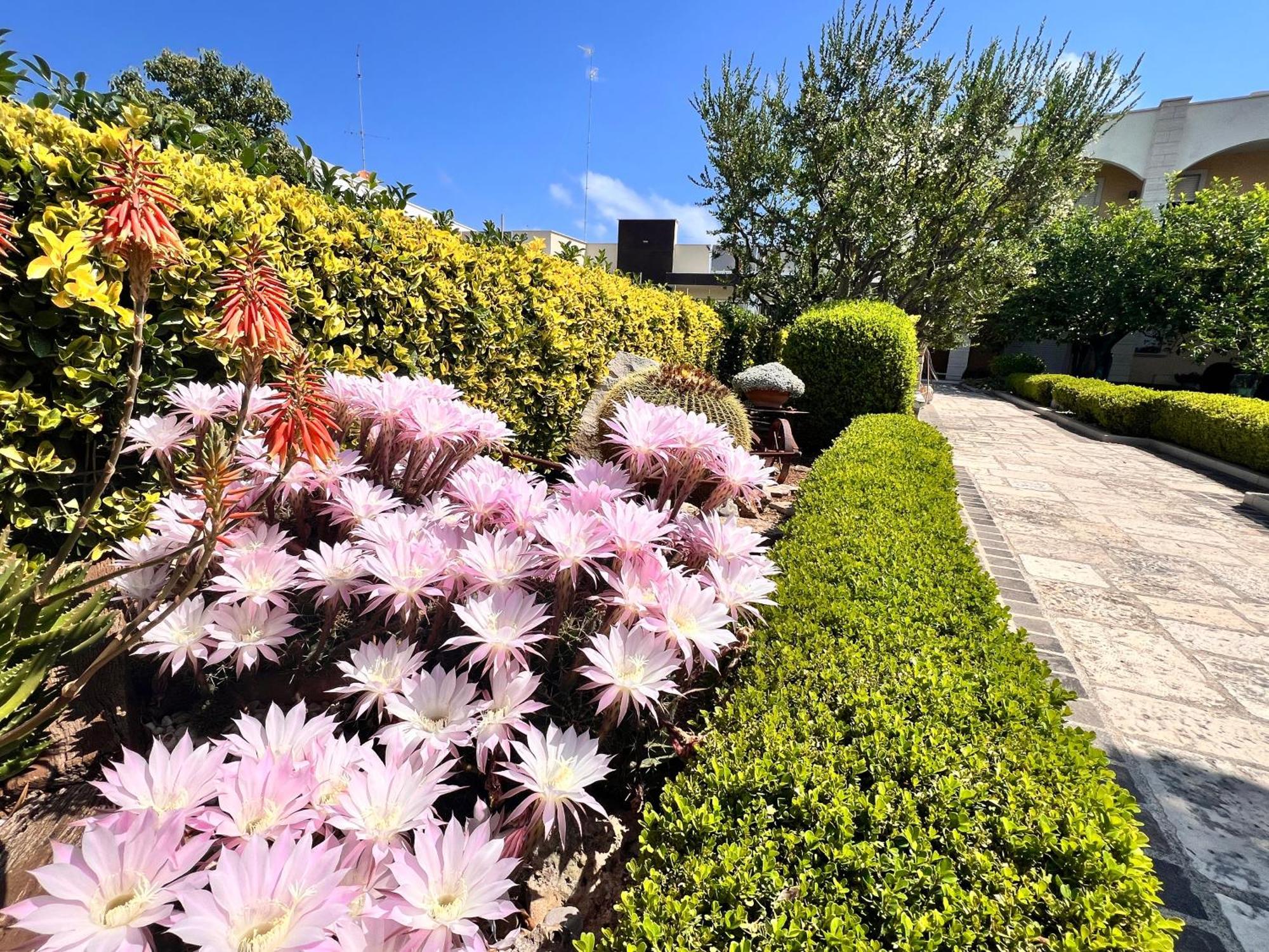 Bed & Breakfast La Rosa Blu