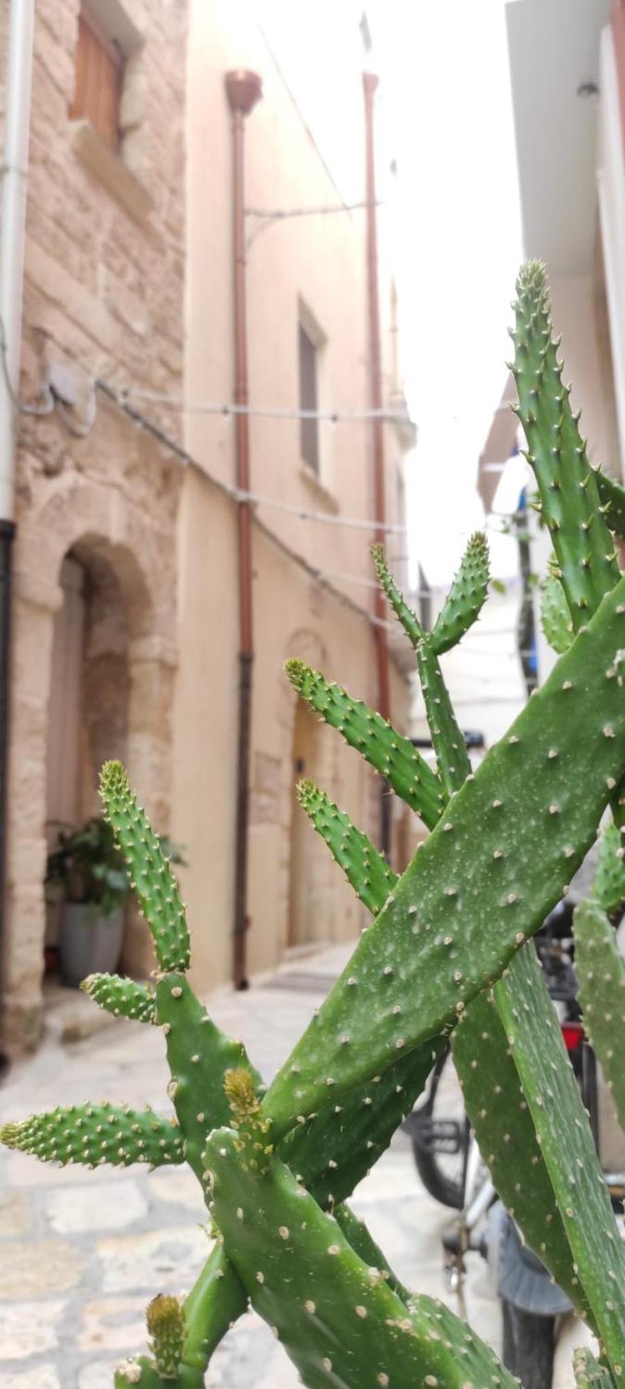 La Follia Dell'architetto * Bari