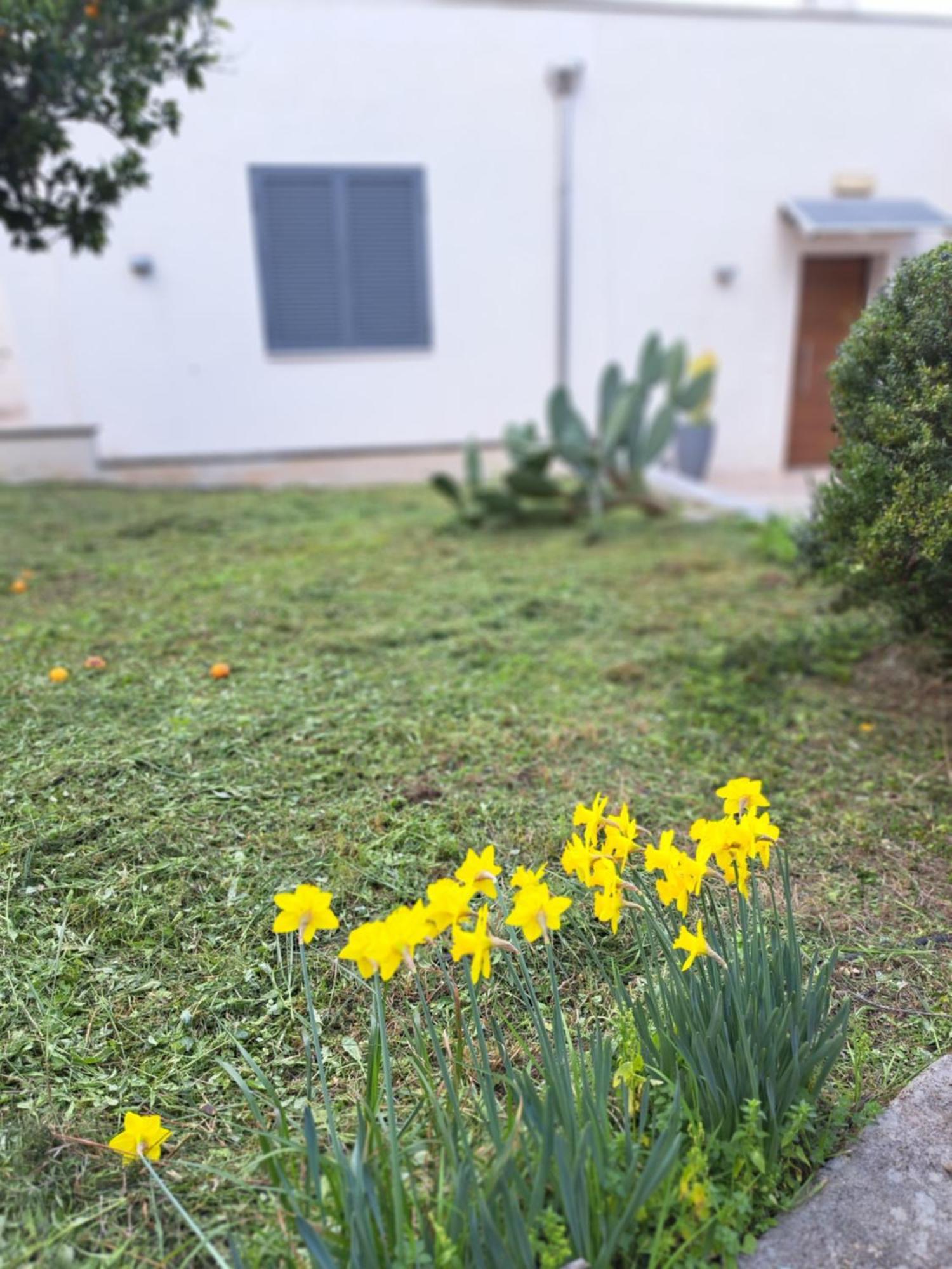 Villa Il Boschetto *