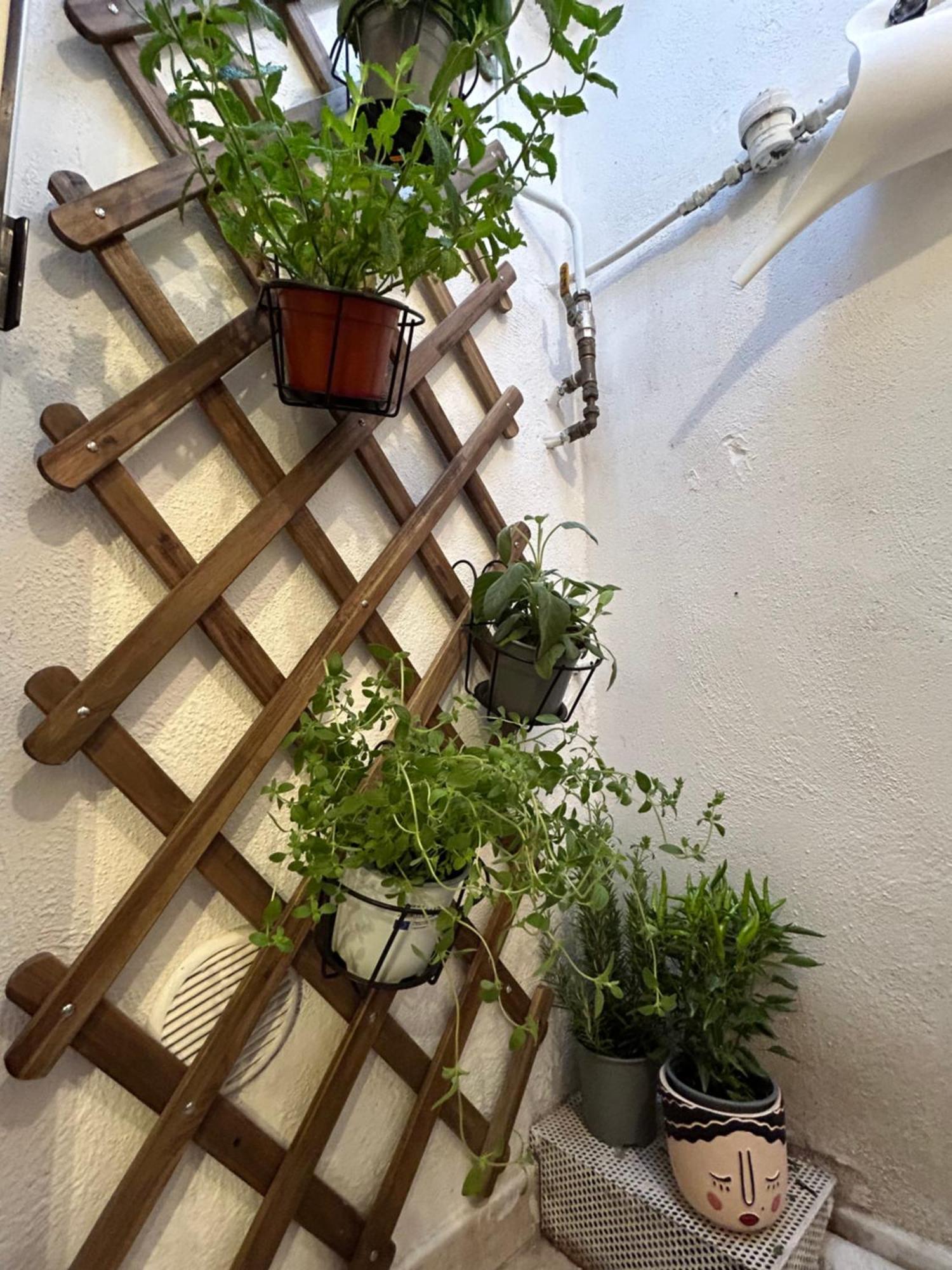 Cri House Apartment Bari