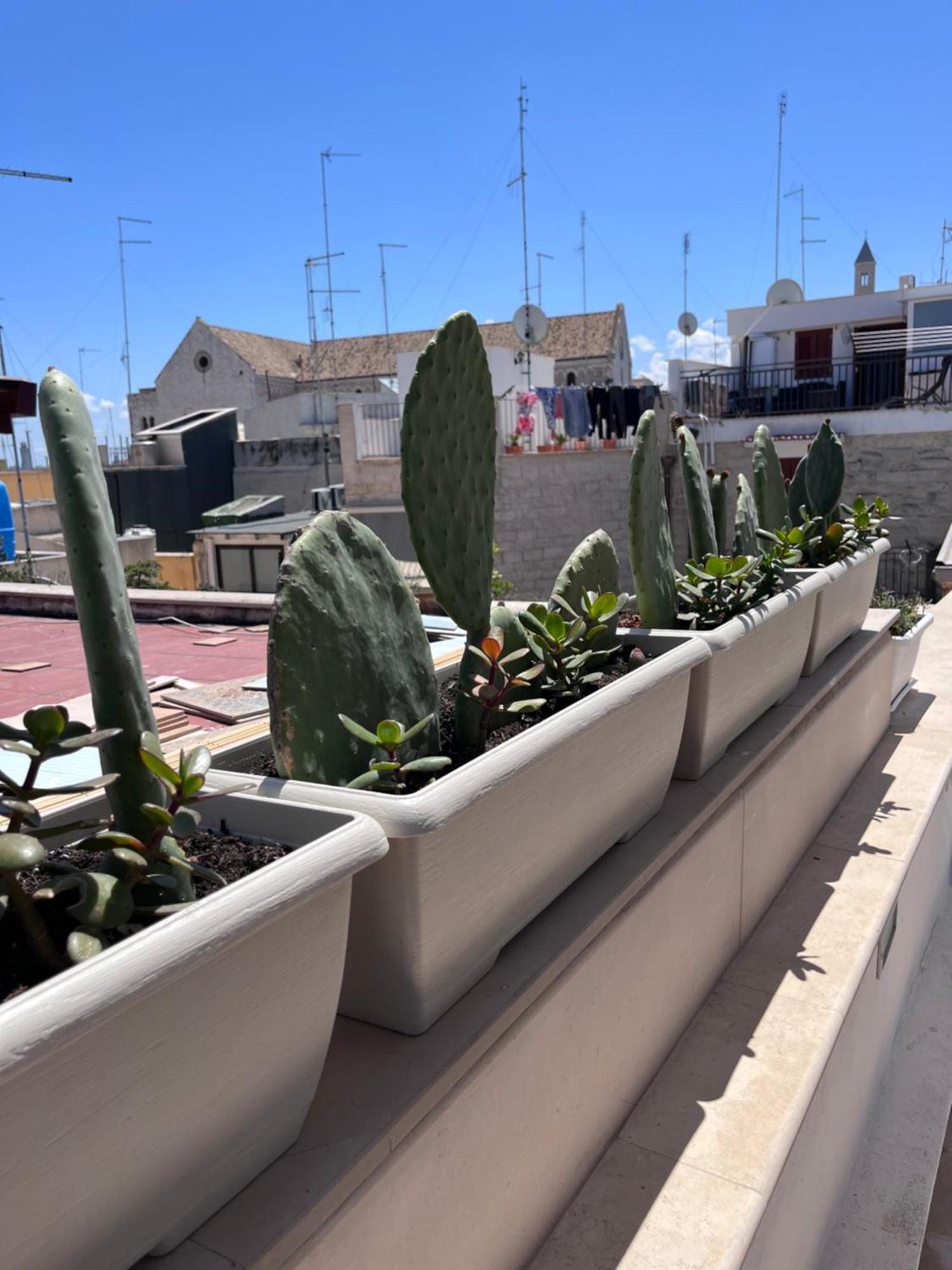 Casa Franca - Terracielo A Vecchia Ferienhaus
