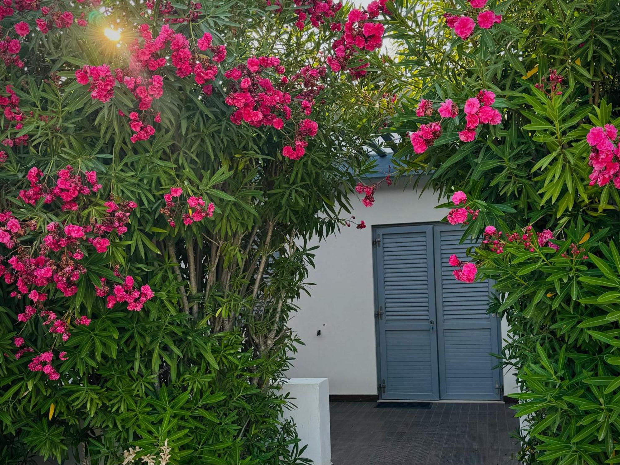 Baia Sangiorgio & Club Hotel