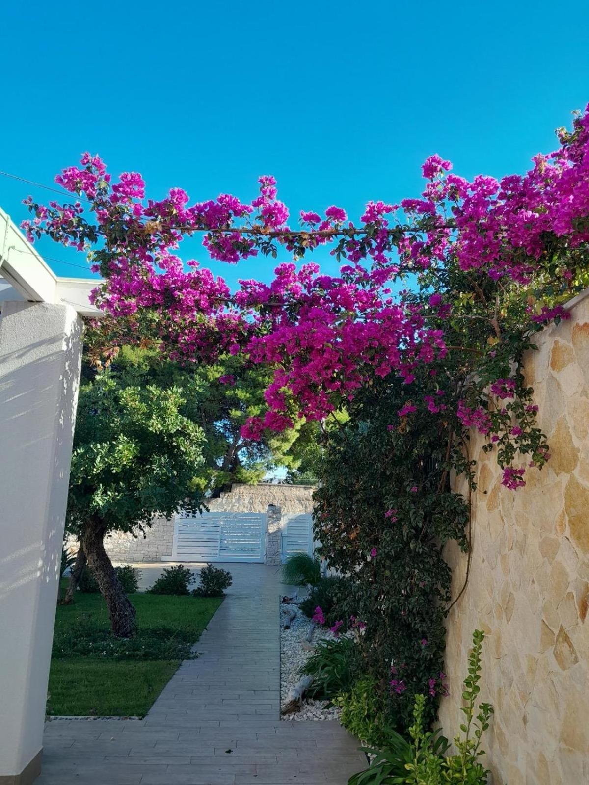 Bed & Breakfast Spirito Santo