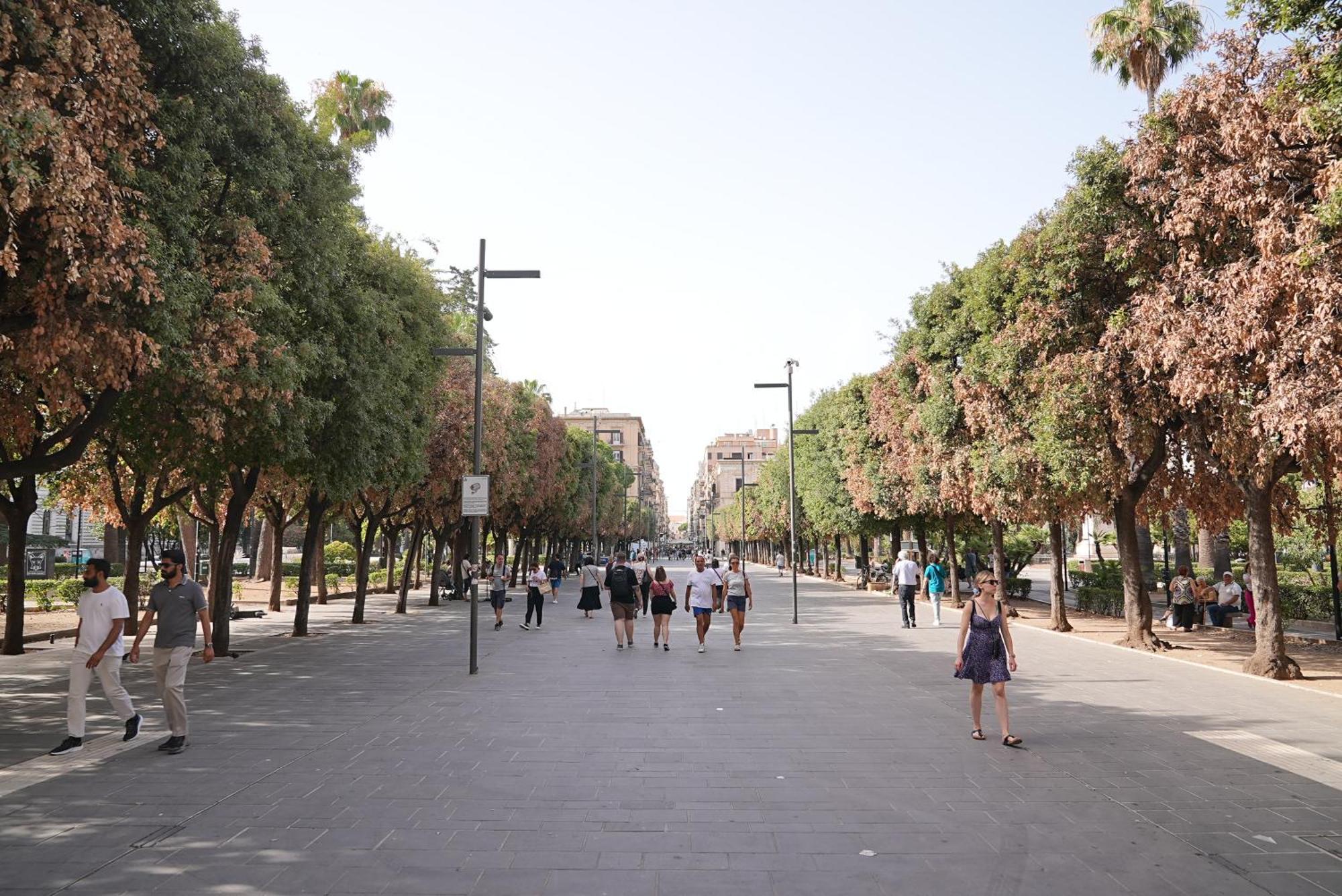 & Premium - Centro - Stazione Bari