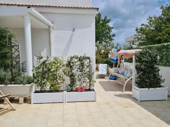 Apartment Lilium Bari