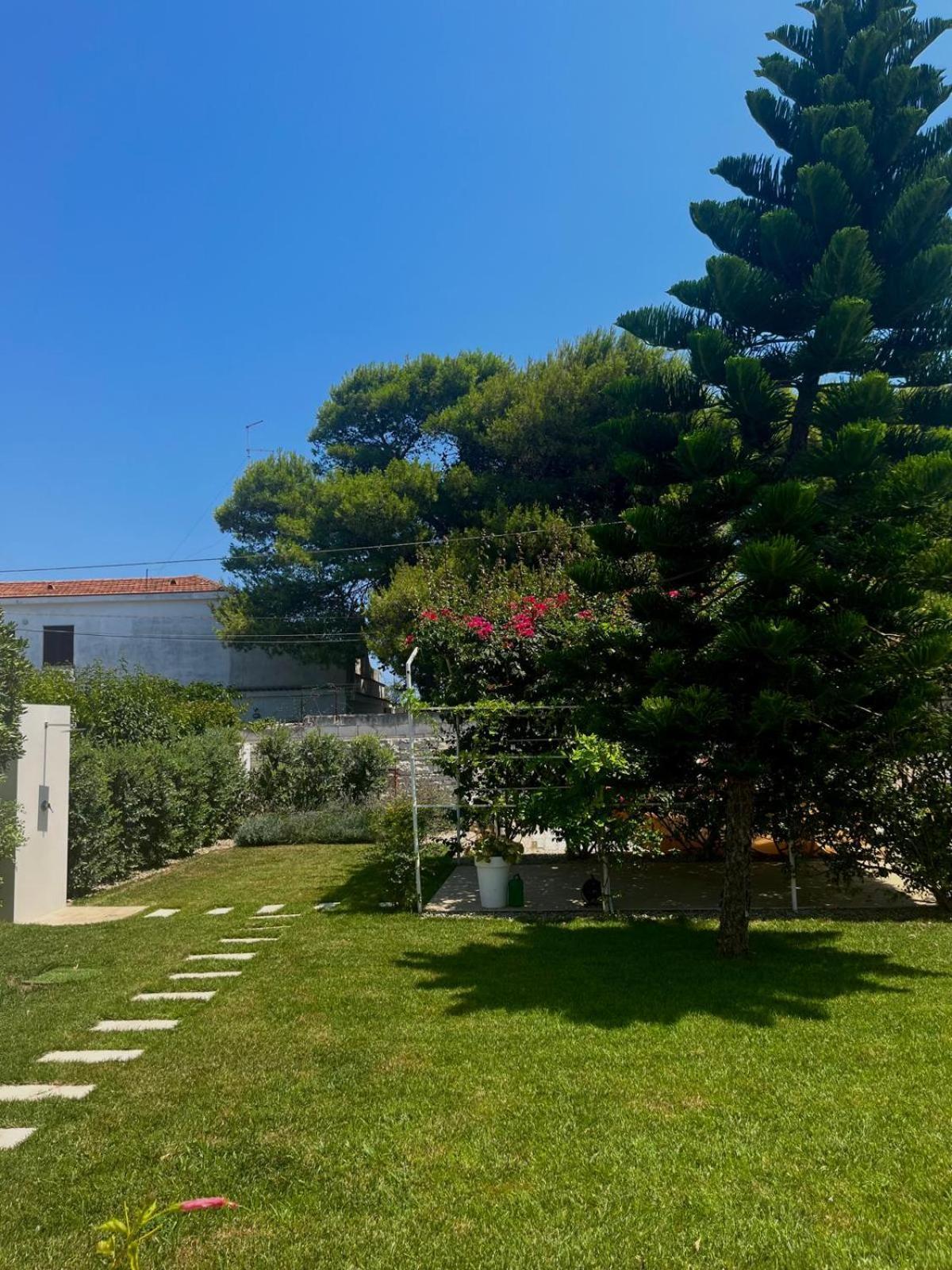 Spirito Santo