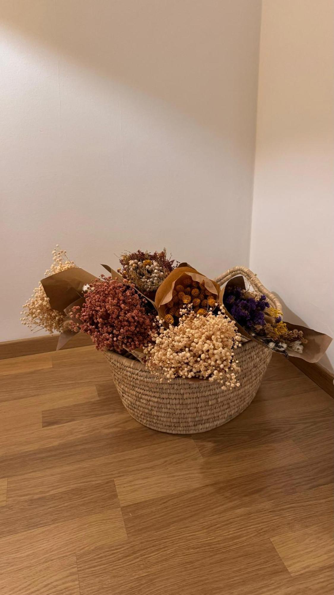 Laus Via Niccolo Putignani Cozy Apartamento