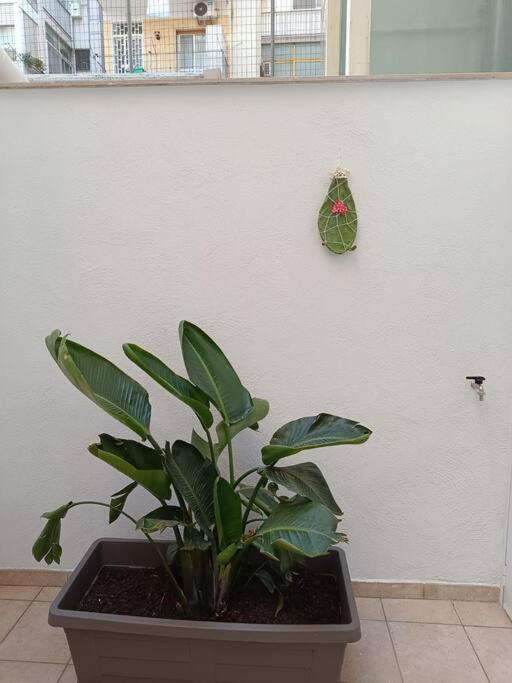 Magia 114 Apartment *