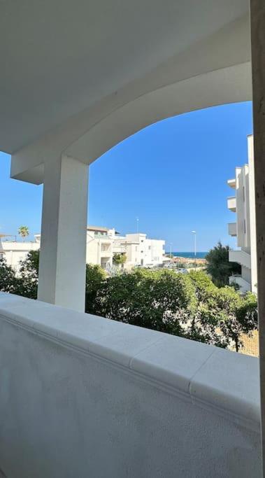 Casamare Santo Spirito *