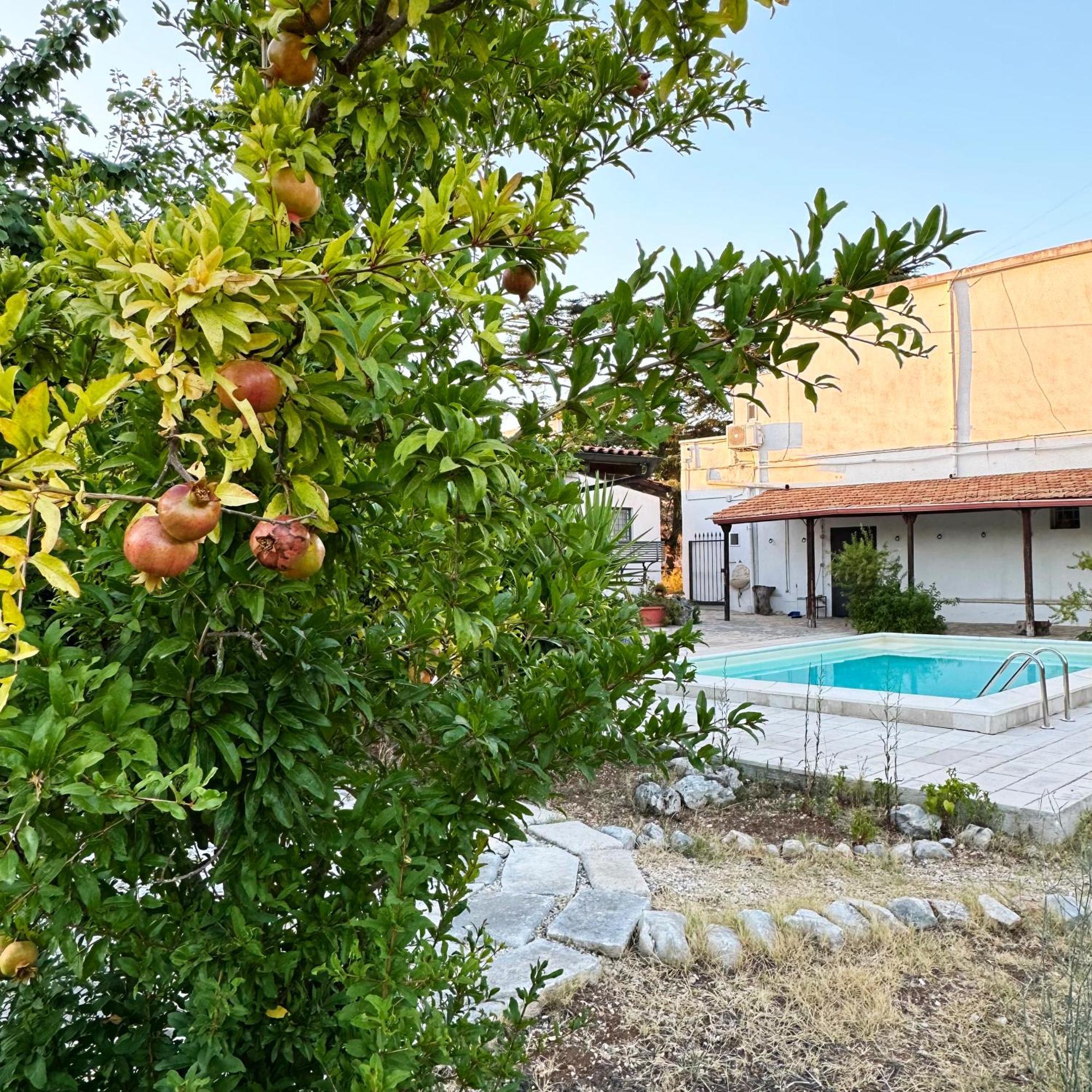 Il Sentiero Apartment Bari