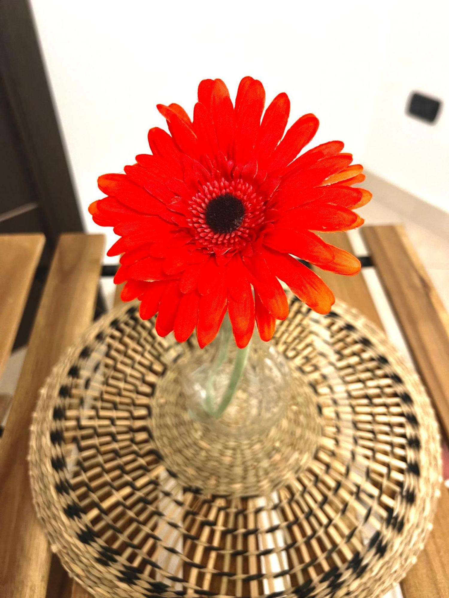 2mari Holiday home Bari