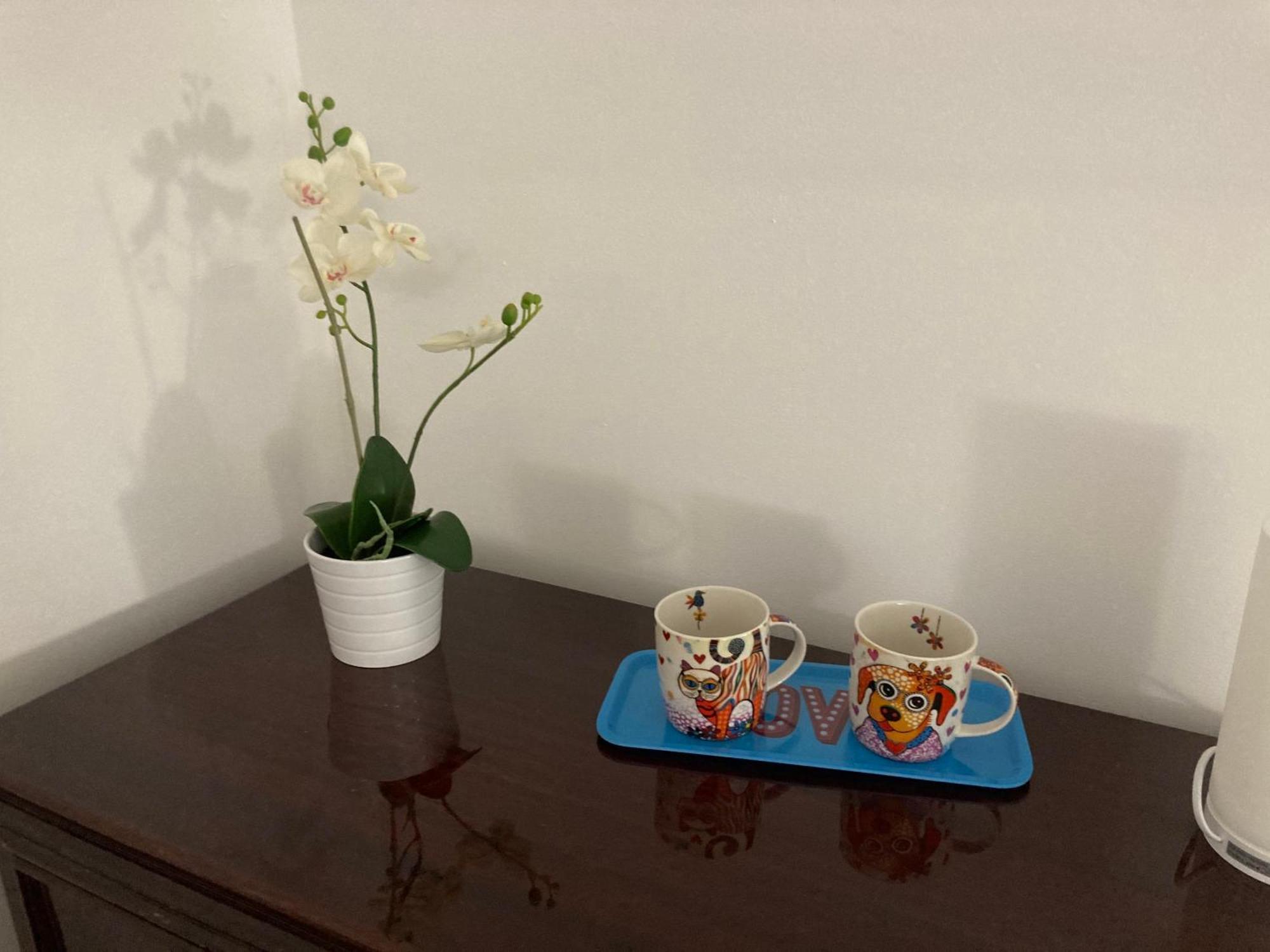 Guest house La Dimora Stella *