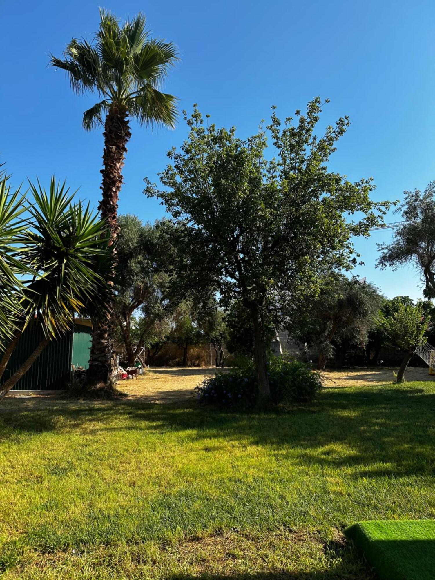 Il Gelsomino Luxury Bed & Breakfast *