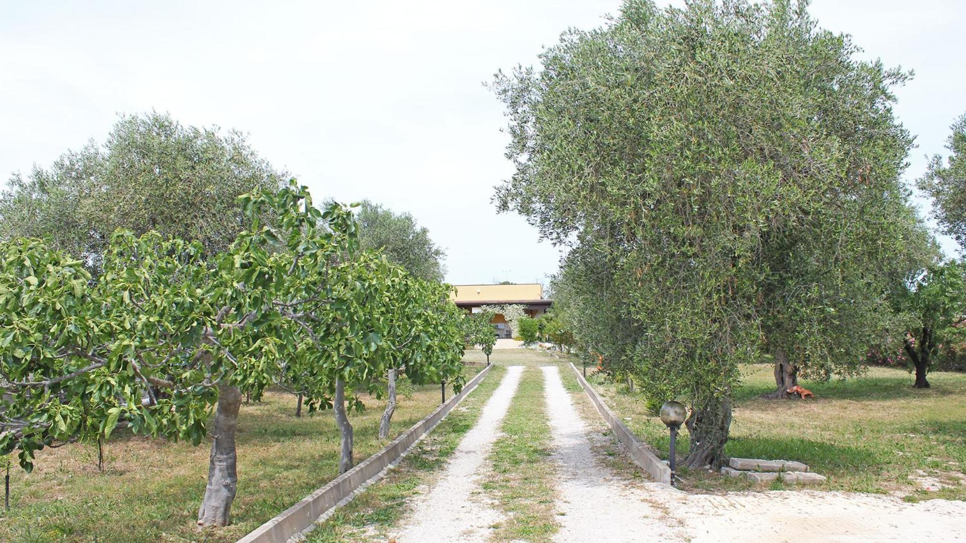 Le Sete Bed & Breakfast *