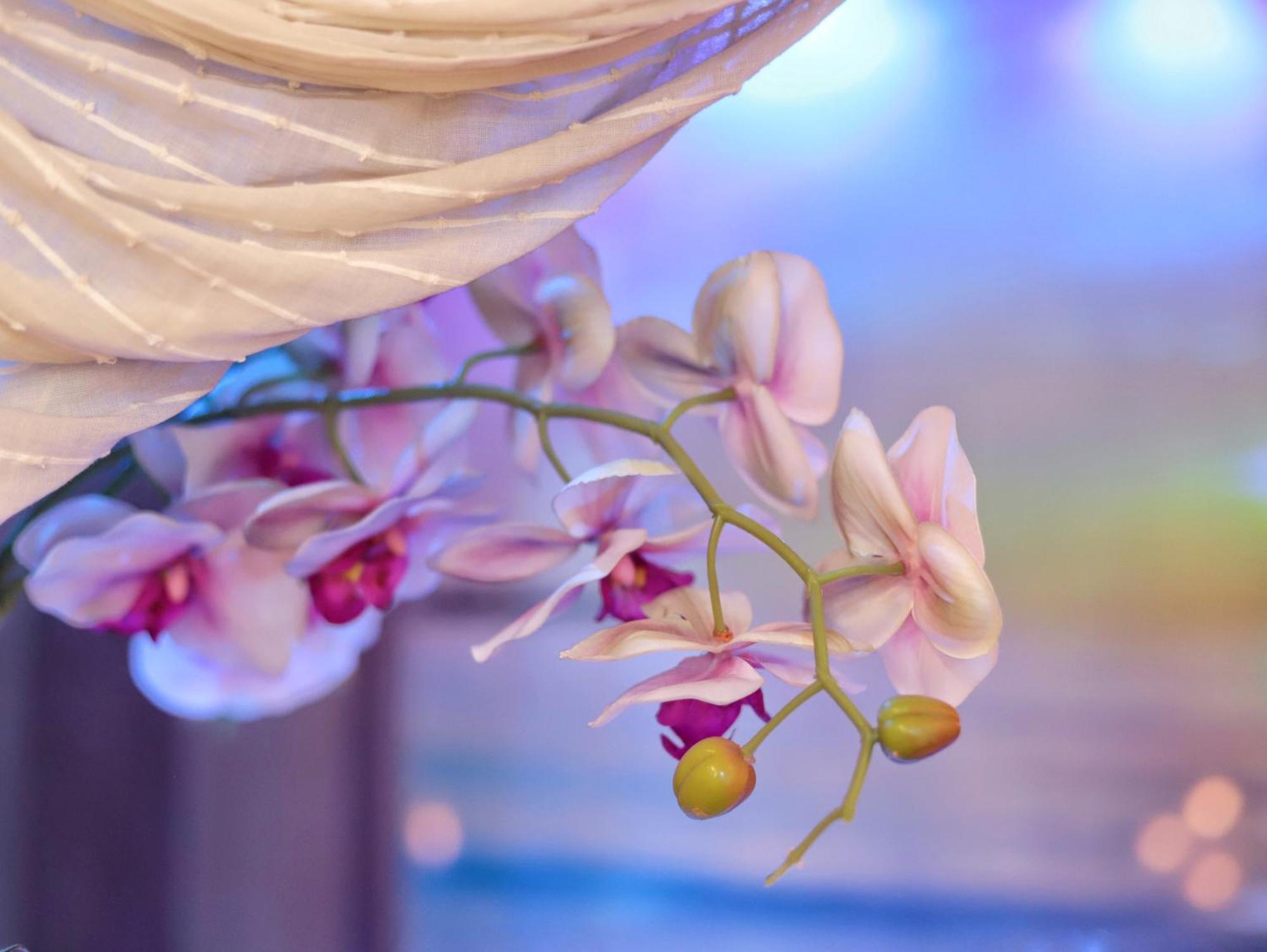 Dream & Relax Fiore Bed & Breakfast Bari