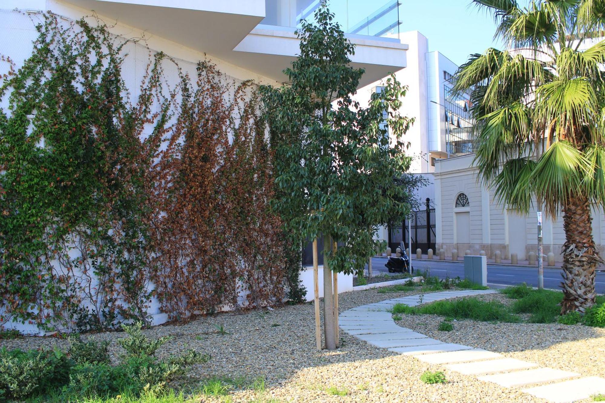Marisabella 8 Apartamento *