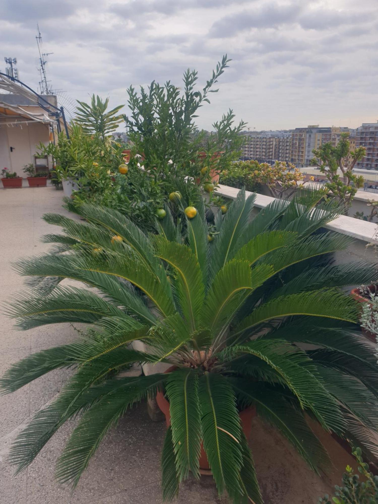 Ganaj La Terrazza Di Ganaj *