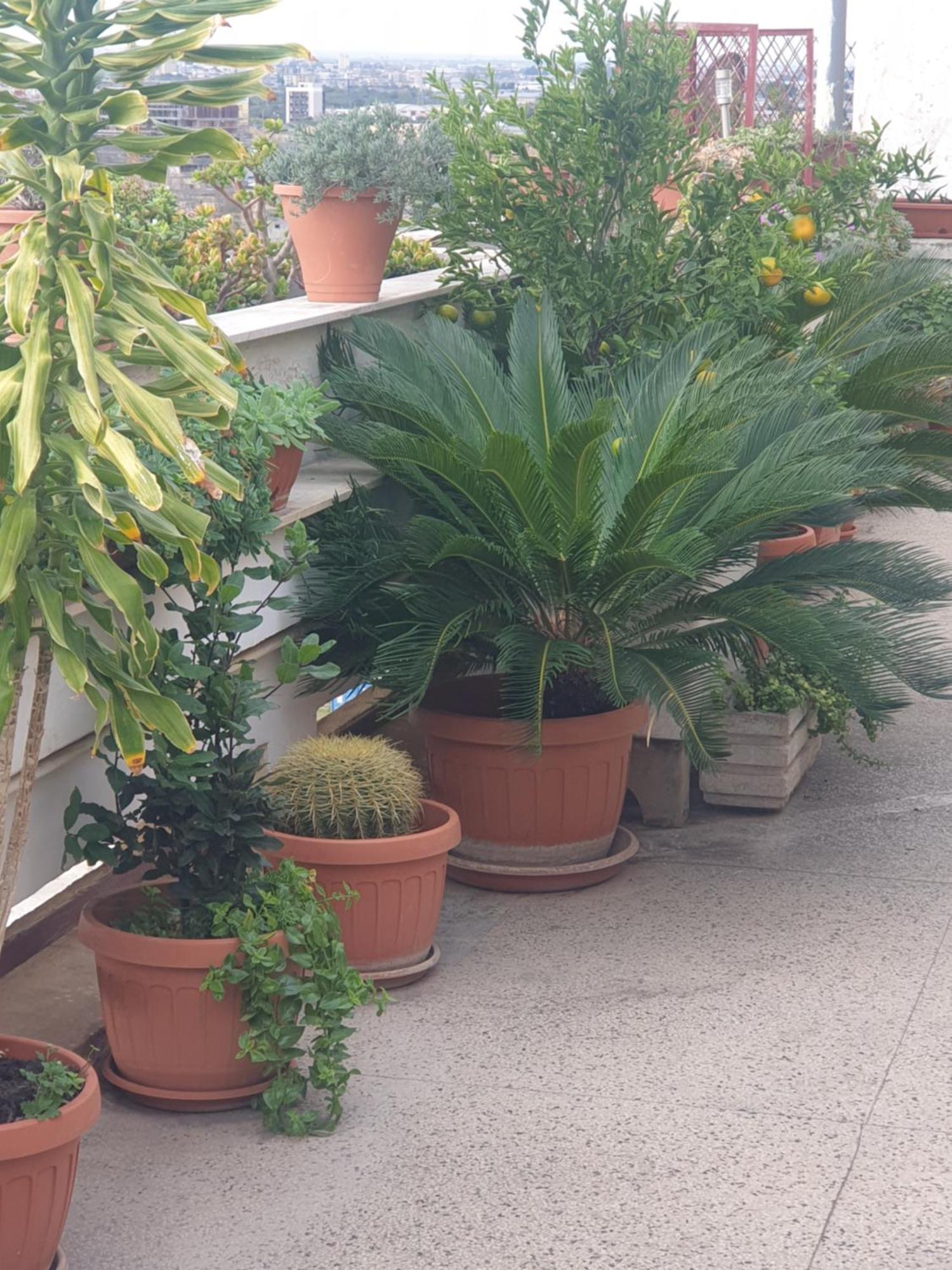 Ganaj La Terrazza Di Ganaj Bari