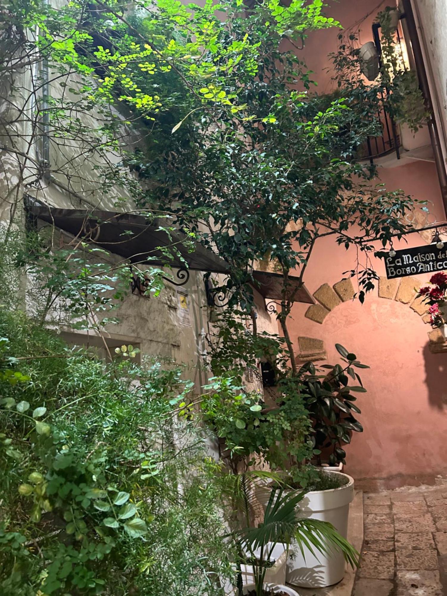 Gasthuis Vecchia R *