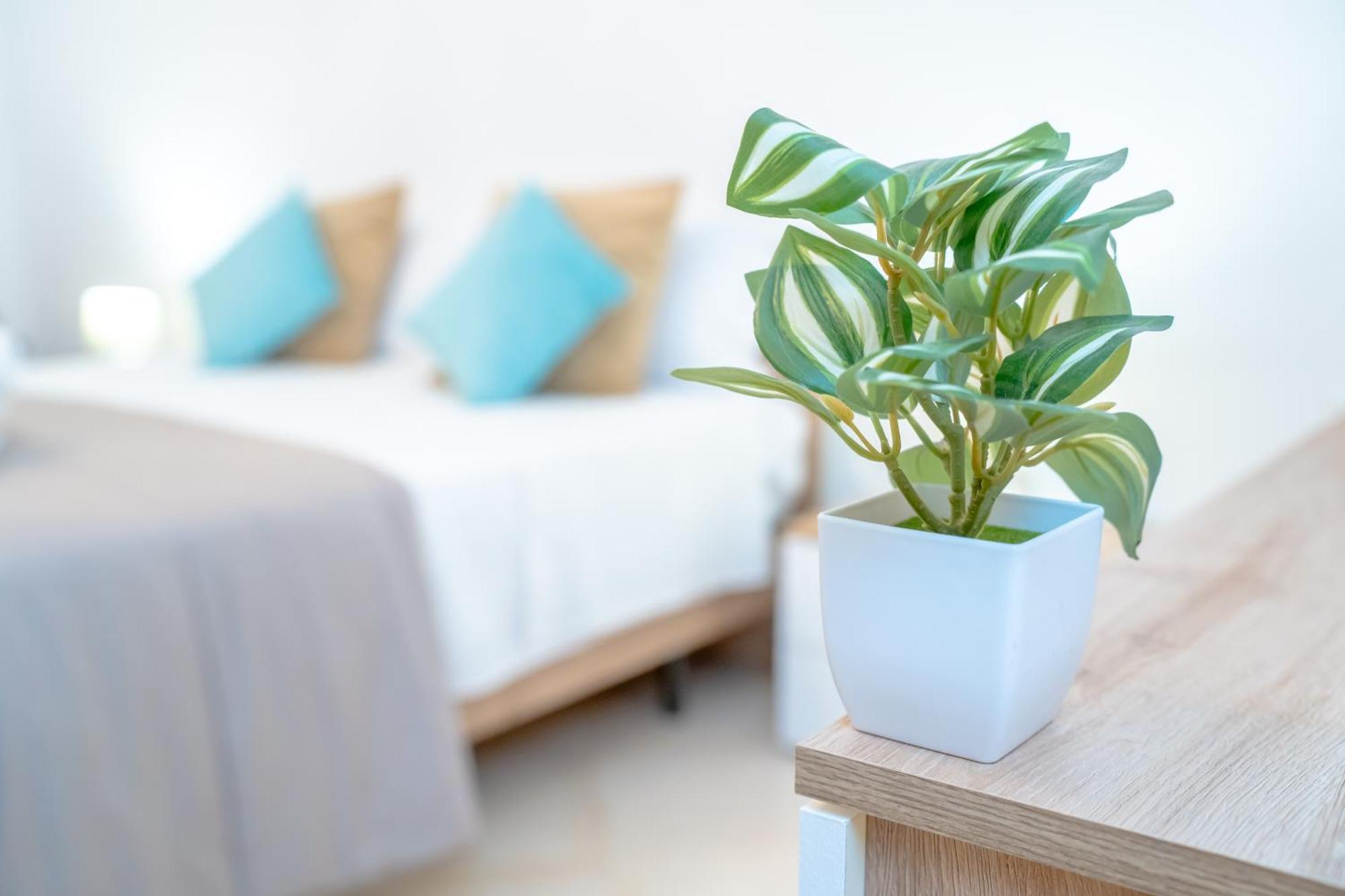 Apartman Dimora Dante 310 Bari