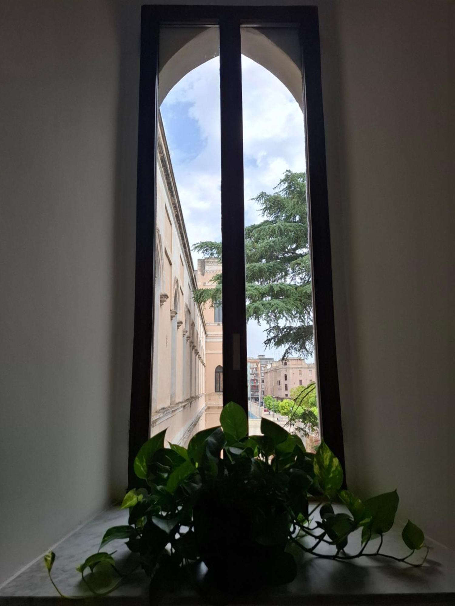Lupi E Agnelli * Bari