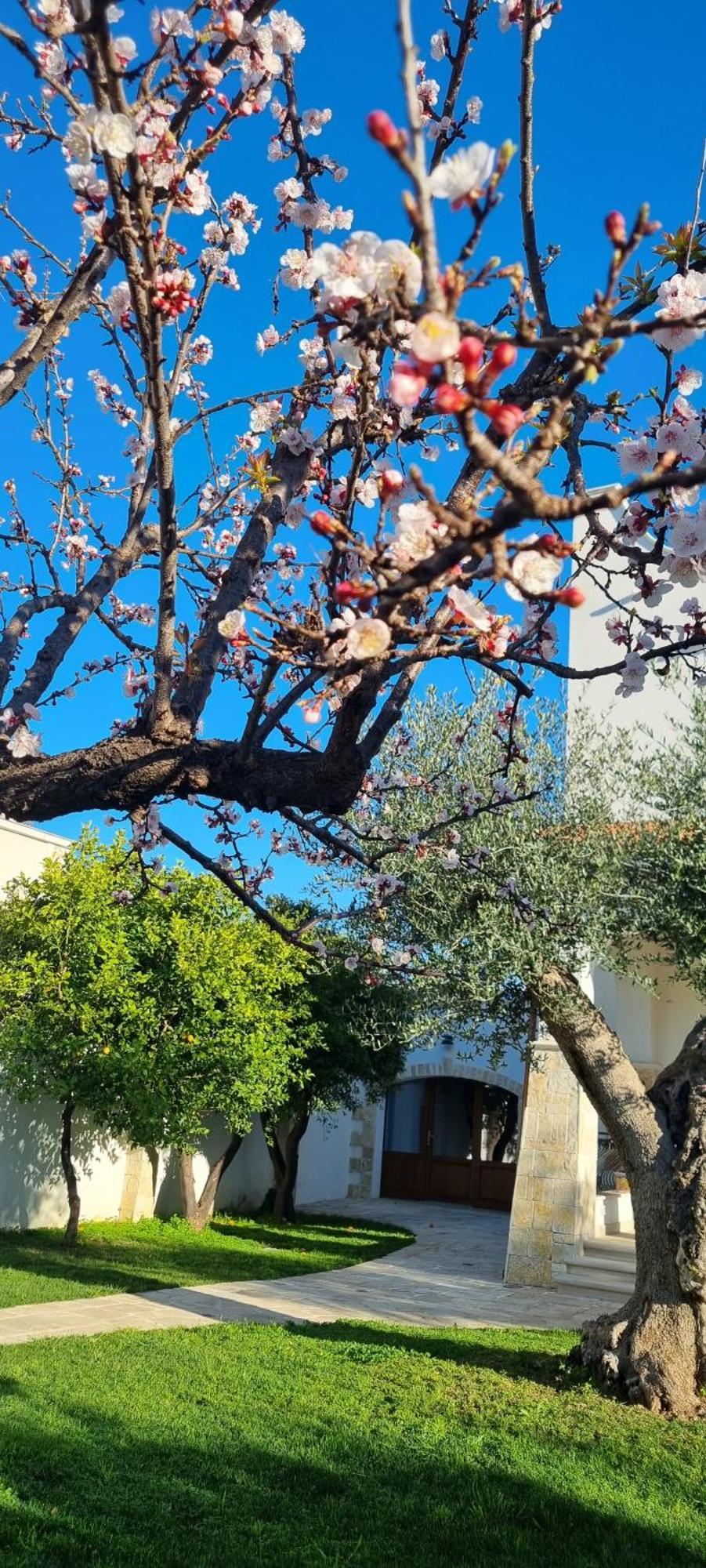 Guajira Frühstückspension Bari