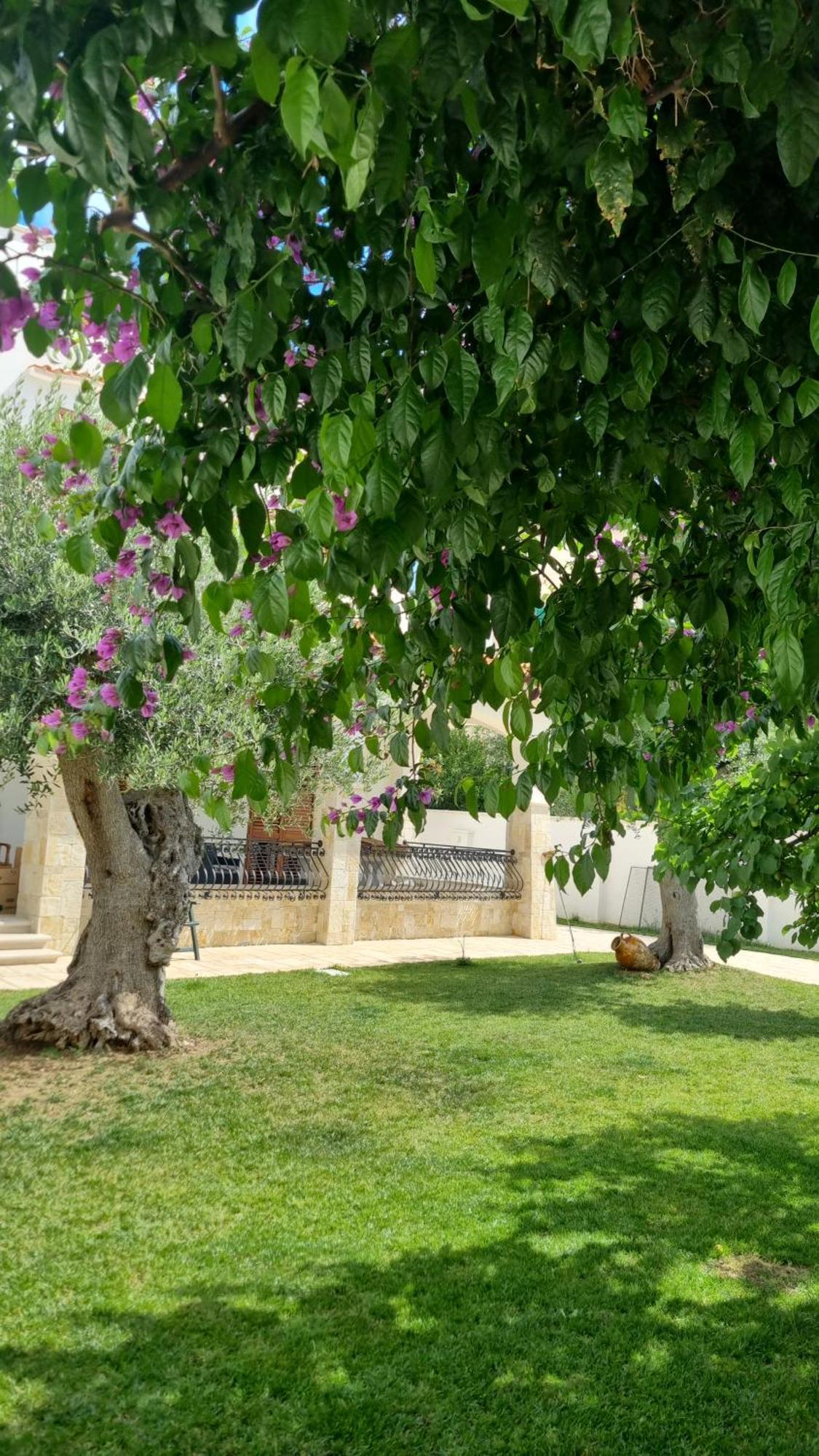 Guajira Bed & Breakfast *