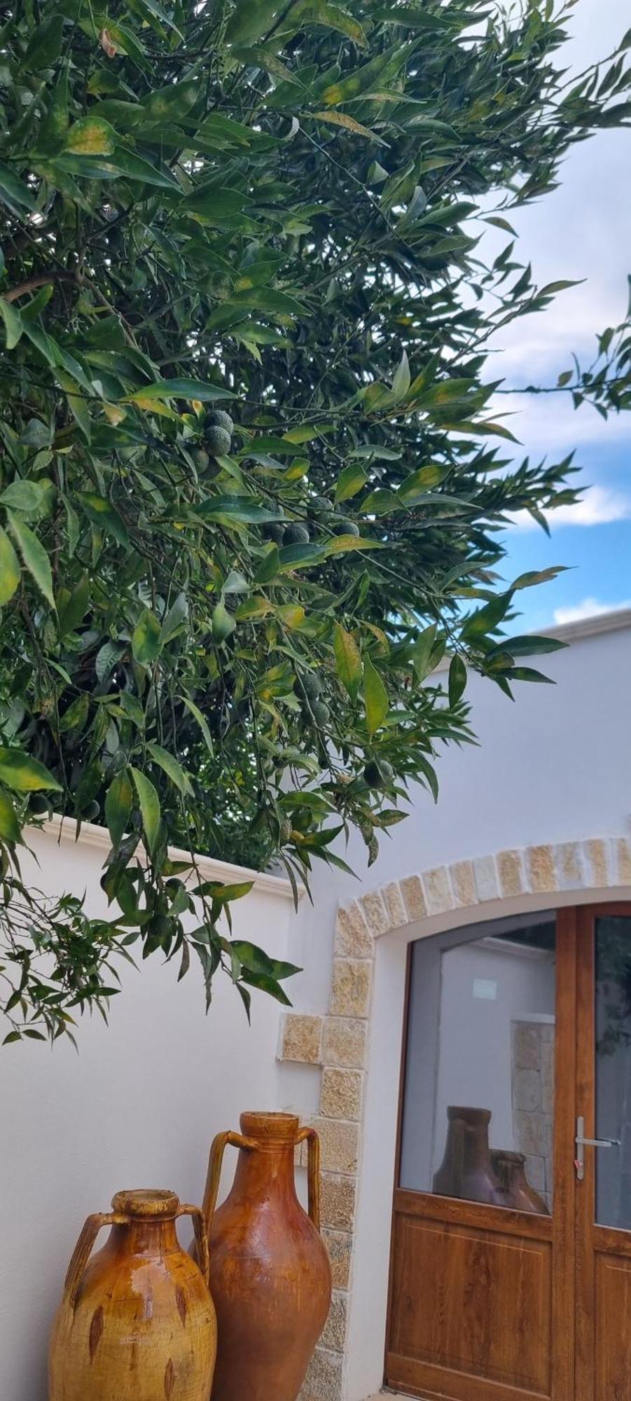 Guajira Frühstückspension