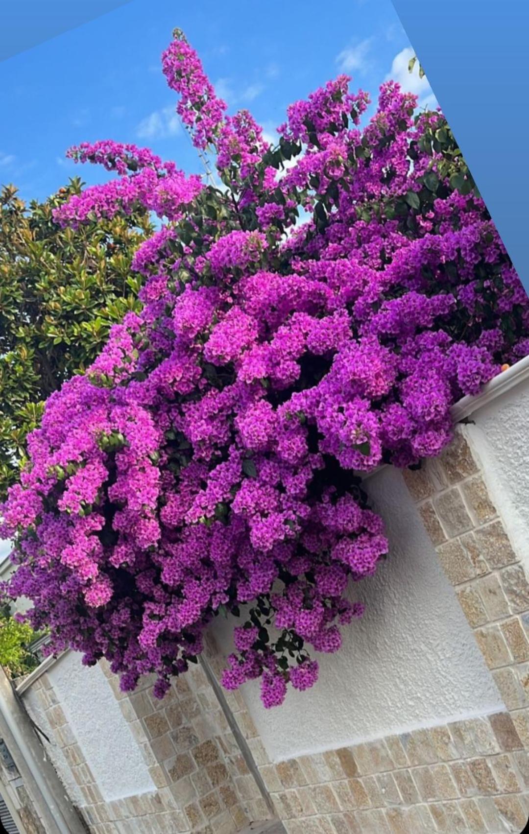 Frühstückspension Guajira Bari