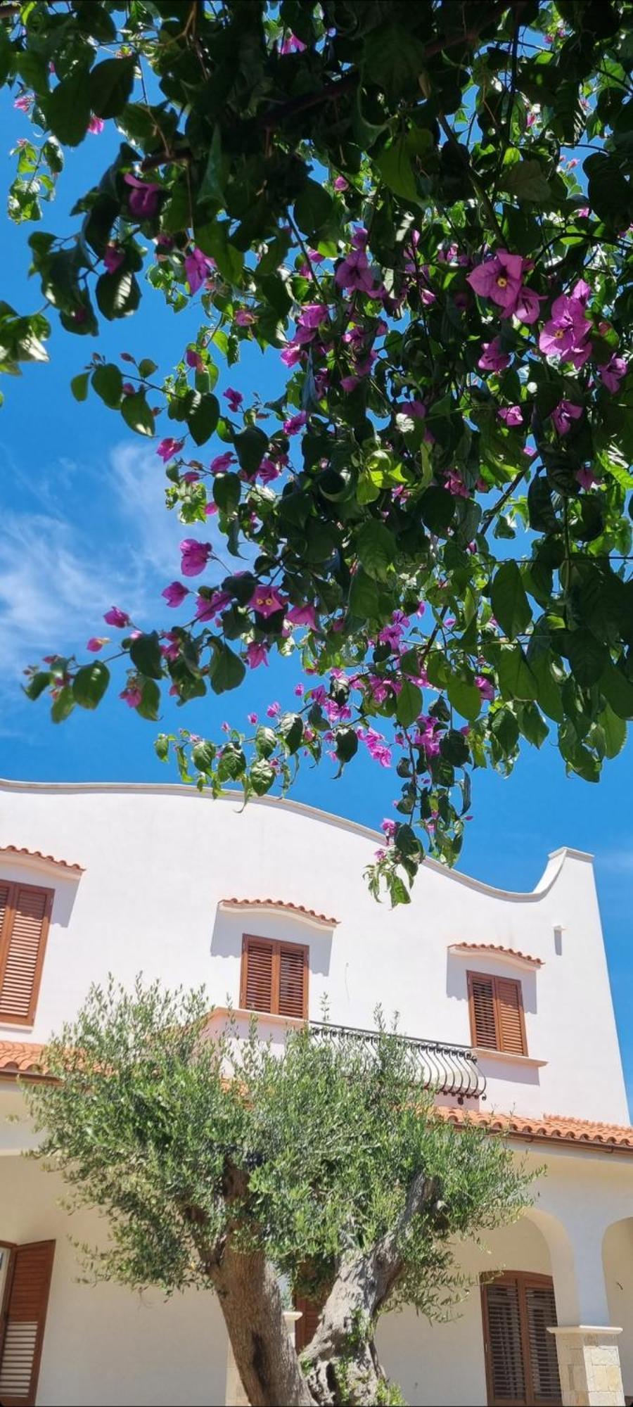 Guajira Bed & Breakfast *